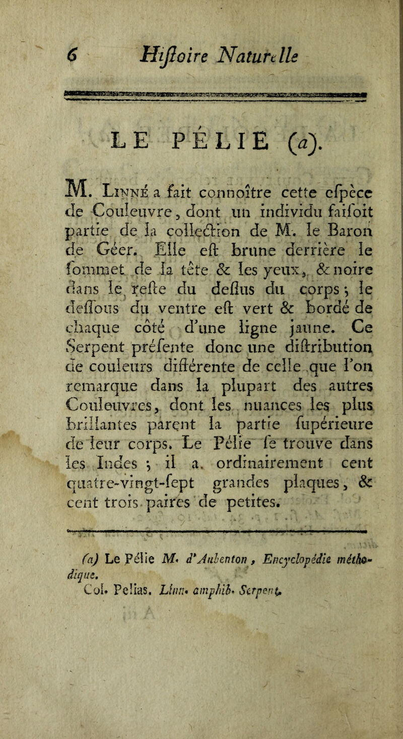 LE PÉLIE (4 M. Linné a fait connoître cette cfpccc de Couleuvre, dont un individu faifoit partie de la çollçÉtron de M. le Baron de Géer. Elle eft brune derrière le fommet de la tête & les yeiix^ & noire dans le. relie du delîus du corps *, îe deflbus du ventre eft vert & bordé de chaque côté d'une ligne jaune. Ce Serpent préfente donc une diftributron de couleurs différente de celle que Ton remarque dans la plupart des autres Couleuvres, dont les nuances les plus brillantes parent la partie fupérieure de leur corps. Le Pélie fe trouve dans les Indes , il a. ordinairement cent quatre-vingt-fept grandes plaques, & cent trois, paires de petites. fa) Le Pélie iVf» d^Juhenton , Encyclopédie méthù diqut, CoU Peiias. Llnn* amphîh Serpent