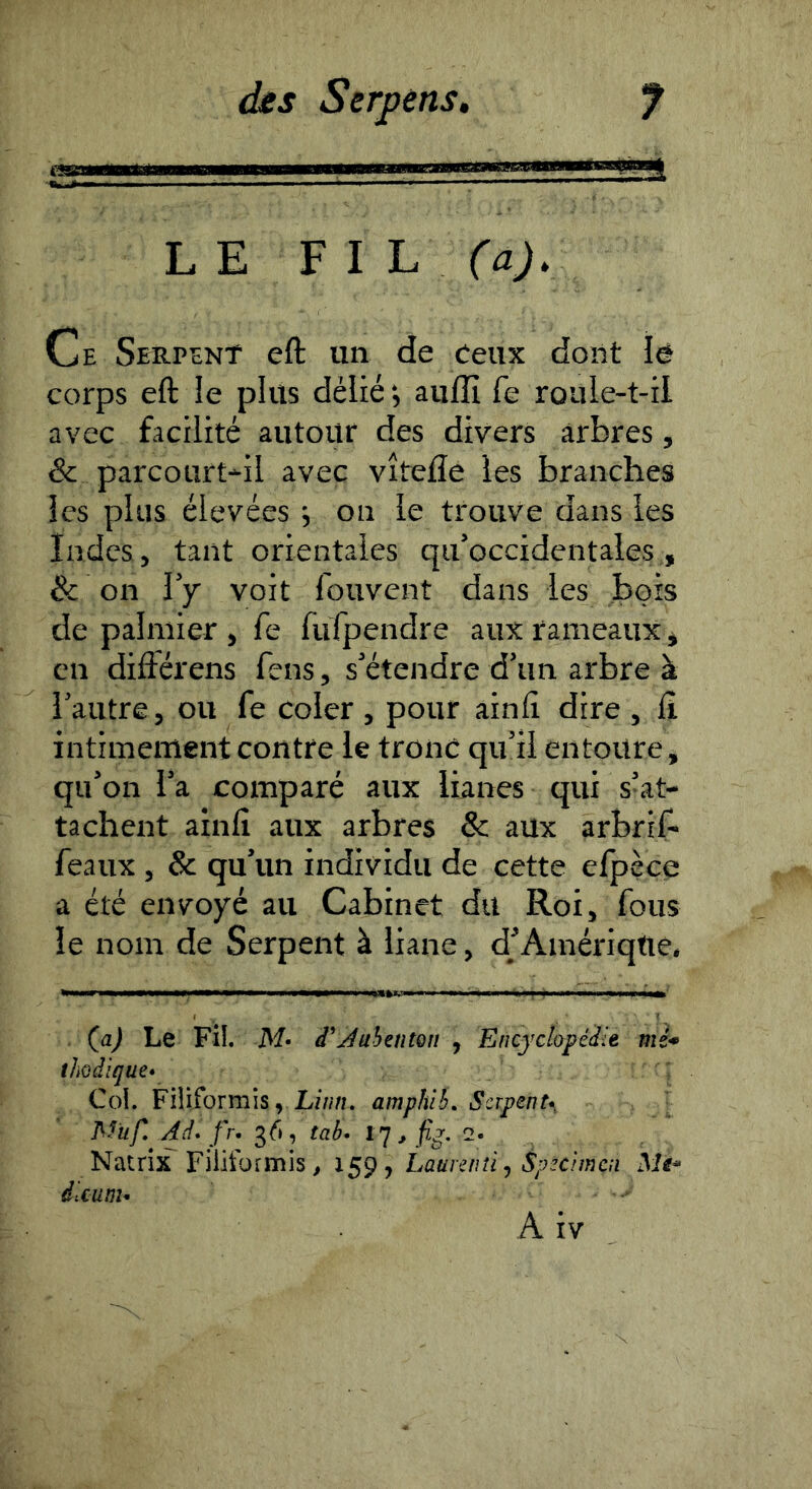 csa LE FIL (a). Ce Serpent eft un de ceux dont îë corps eft îe plus délié ; auffi fe roule-t-ii avec facilité autour des divers arbres, & parcourt-il avec vîtefle les branches les plus élevées •, on le trouve dans les Indes, tant orientales qu’occidentales,, & on l’f voit fouvent dans les bois de palmier , fe fufpendre aux rameaux, en diftérens feus, s’étendre d’un arbre à l’autre, ou fe coler , pour ainft dire , Il intimement contre le tronc qu’il entoure, qu’on l’a comparé aux lianes qui s’at- tachent ainft aux arbres & aux arbrif- féaux, & qu’un individu de cette efpèce a été envoyé au Cabinet du Roi, fous le nom de Serpent à liane, d’Amériqtie, (^a) Le Fil d'juhenton , Encyclopédit mi* thoâique» Col. Fiîiformîs, LZ/m. amphih, Serpenu, Ad* fr* 36, tab* iq ^ fig* 2. Natrix Fiiitbrmis ^ 159, Lauranij Spécimen Me* dlcum- A iv