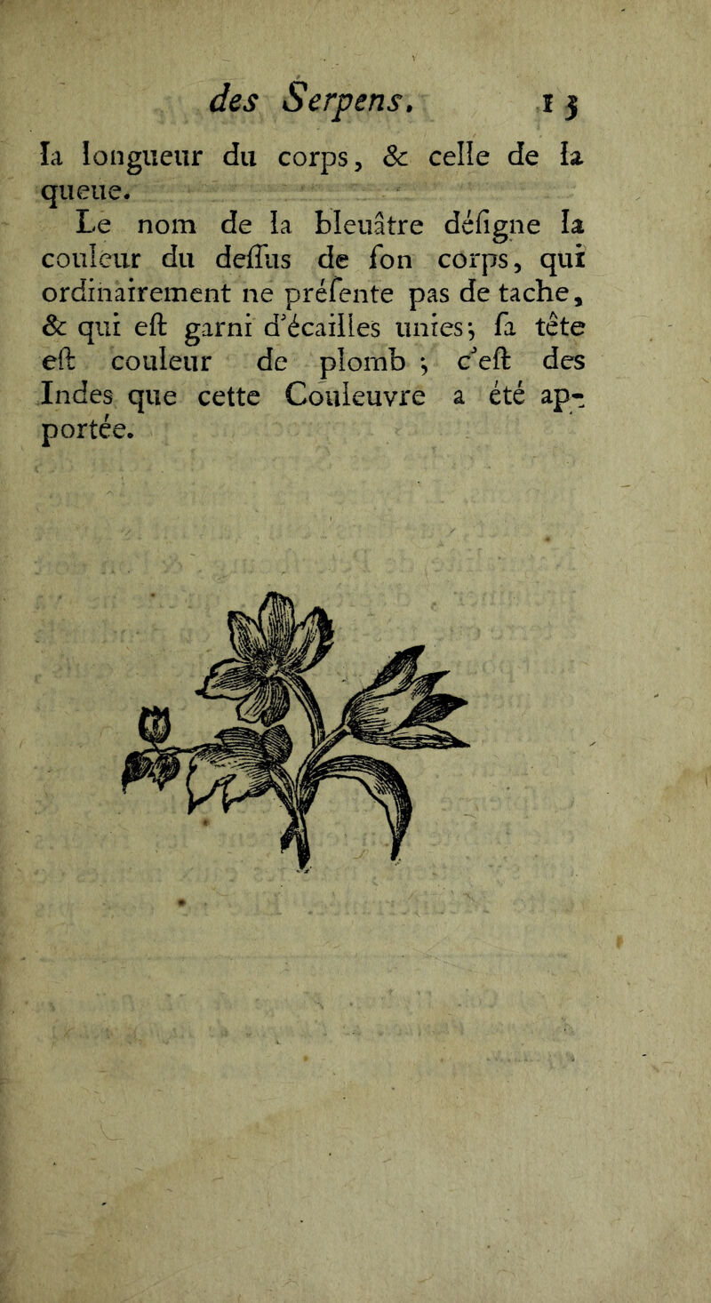 la longueur du corps, & celle de la queue. Le nom de la bleuâtre défigne la couleur du deffus de fon corps, qui ordinairement ne prérente pas de tache, & qui eft garni d’écailles unies j fa tête eft couleur de plomb -, c^eft des Indes que cette Couleuvre a été ap- portée.