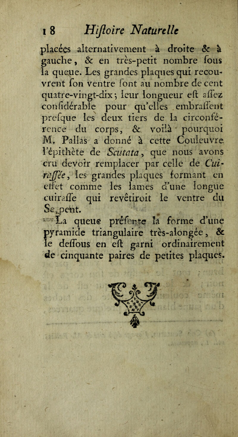 placées alternativement à droite & à gauche, & en très-petit nombre fous la quelle. Les grandes plaques qui recoin vrent fon ventre font au nombre de cent quatre-vingt-dix 5 leur longueur eft affez confidérablc pour qu’elles embrallent prefque les deux tiers de la circonfé- rence du corps 5 & voilà ’ pourquoi M, Pallas a donné à cette Couleuvre Tépithete de Scutata, que nous avons cru devoir remplacer par celle de Cui- nilféè ^ les grandes plaques formant en ed'et comme les lames d’une longue cuirafle qui revêtiroit le ventre du Se^Deiit. ^ * La queue préfente la forme d’une Ïpyramide triangulaire très-alongée j & e deflbiis en eft garni ordinairement de cinquante paires de petites plaques.