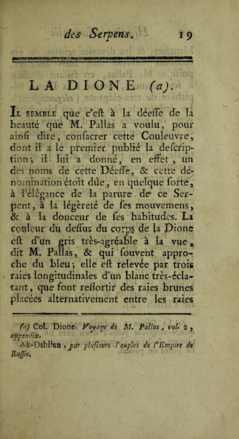 LA DIGNE (a). Il semble que c’eft à la déeffe de la beauté que M. Pallas a voulu, pour ainfi dire, confacrer cette Couleuvre, dont il a le premier publié la defcrip- tion-, il- lui a donné, en effet , un des noms de cette Déeffe, & cette dé- nomination étoit due, en quelque forte, à l’élégance de la parure. de ce Ser- pent, à la légèreté de fes mouvemens, & à la douceur de fes habitudes. La çotilçur dn deffus du çgrps de la Dionc eft d’un gris très-agréable à la vue, dit M. Pallas, & qui fouvent appro- che du bleu*, elle eft relevée par trois raies longitudinales d’un blanc très-écla- tant, que font refîortir des raies brun.es placées alternativement entre les raies Coî. Dione» M. Pallas , voU 2 j (jpfendix» Ak-Dshifen J par piafieurs Peuples de P Empire de