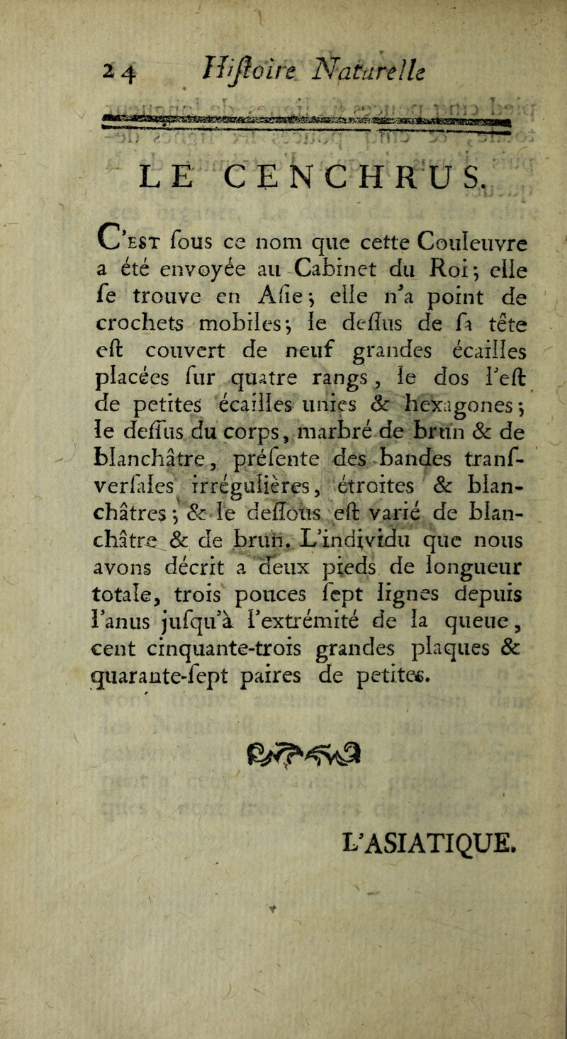 LE CE NC HR US. v>*EST fous ce nom que cette Couleuvre a été envoyée au Cabinet du Roi*, elle fe trouve en A(îe*, elle n^a point de crochets mobiles, le delîiis de A tête eft couvert de neuf grandes écailles placées fur quatre rangs, le dos feft de petites écailles unies & hexagones*, le deffiis du corps, marbré de brun & de blanchâtre, préfente des bandes tranf- verlales^ irrégulières, étroites & blan- châtres*, & le delîôiîs eft varié de blan- châtre & de brub, Lindtvidu que nous avons décrit a deux pieds de longueur totale, trois pouces fept lignes depuis Tanus jufqifà Textrémité de la queue, cent cinquante-trois grandes plaques & qiiarante-fept paires de petites. L’ASIATIQUE.