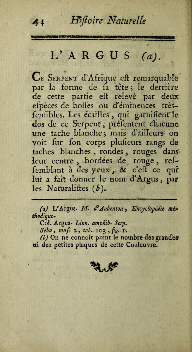 L’ A R G U S (a). Ce Serpent d’Afrique eft reiuarqüàbîe par la forme de fa tête 5 le derrièi'e de cette partie eft relevé par deux efpèces de bofles ou d'^émineiices très- fenfibles. Les écailles, qui garniflenfle dos de ce Serpent, préfeiitent chacune une tache blanche*, mais d'aiircurs- on voit fur fon corps plufieurs rangs de taches blanches , rondes, rouges dans leur centre , bordées de rouge, ref- femblant à des y eux y & c'eft ce qui lui a fait donner le nom d'Argus, par les Naturaliftes (^).. ('aj L*Argu5* M* â^Jubenton ^ Encyclopédie mé- Modique* Coî. Argus. Linn. amphlb> Serp, Séba, muf 2, tab* 103., i* (b) Gn ne connoît point le nombre des grande^ ai des petites plaques de cette Couleuvre.