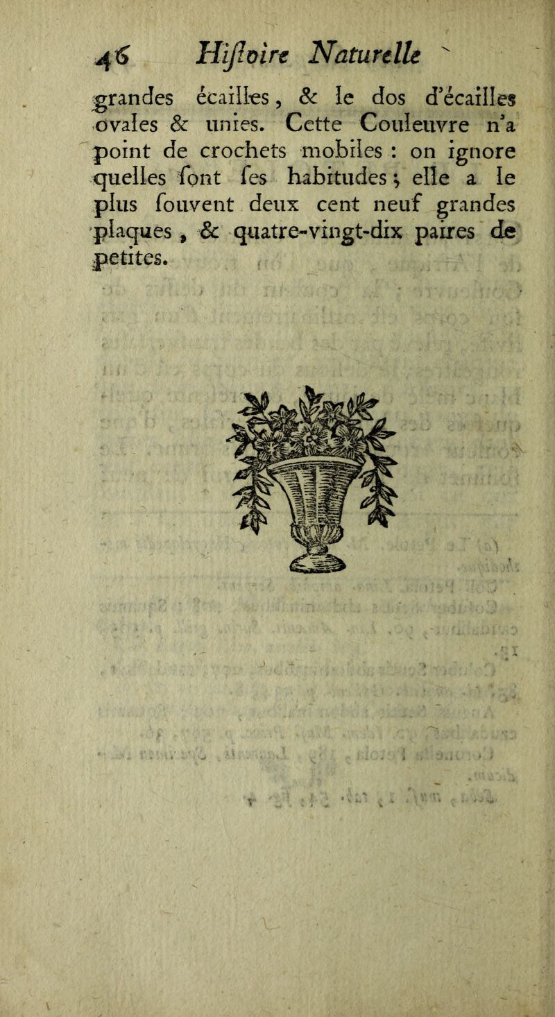 grandes écailfes, & le dos d'écaîlles ovales & unies. Cette Couleuvre n'a point de crochets mobiles : on ignore quelles font fes habitudes ^ elle a le plus fouvent deux cent neuf grandes plaques , & quatre-vingt-dix paires de petites.