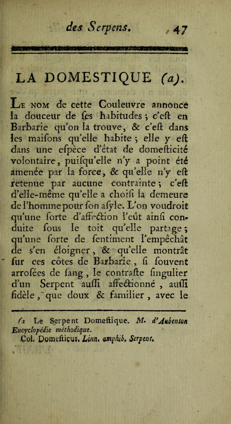 LA DOMESTIQUE (a). Le nom de cette Couleuvre aj>nonce ia douceur de fes habitudes j c’effc en Barbarie qu’on la trouve, & e’eft dans les maifons qu’elle habite -, elle 7 eft dans une elpèce d’état de domefticité volontaire, puifqu’eîle n’y a point été amenée par la force, & qu’elle la’y eft retenue par aucune contrainte ; c’eft d’elle-même qu’elle a choifi la demeure de l’homme pour fon afyle. L’on voudroit qvt’une forte d’afFeélion l’eût ainfi con» duite fous le toit qu’elle partage ; qu’une forte de fentiment l’empêchât de s’en éloigner, & qu’elle montrât ' fur ces côtes de Barbarie , fi fouvent arrofées de lang, le contrafte fingulier d’un Serpent aulïï affeéfcionné , auflî fidèle,'que doux & familier, avec le Cl Le Serpent Domeftique. M- d’Aubenlon Elticyclopédie méthodique. Çol. Dgmeftiçus. Liiuit amphib,