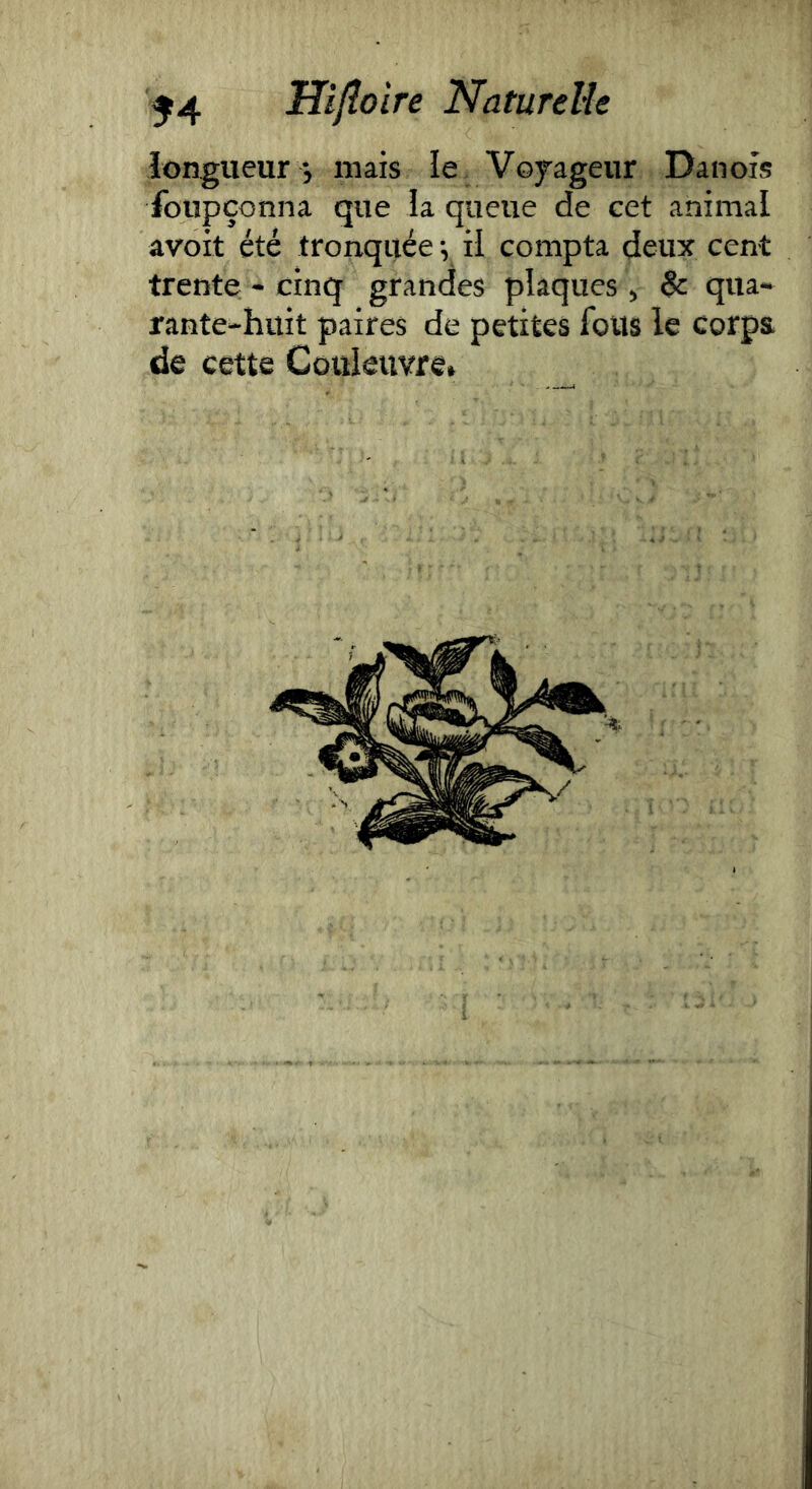 longueur -, mais le Vojageur Danois ibupçonna que la queue de cet animal avoit été tronquée ; il compta deux cent trente - cinq grandes plaques , 6c qua- rante-huit paires de petites fous le corps, de cette Couleuvre. I