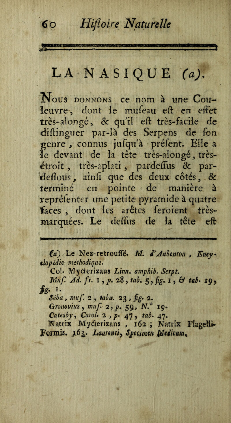 LA N ASIQUE (a). Nous DONNONS ce nom à une Cou- leuvre, dont le miifeaii eft en effet très-alongé, & qffil eft très-facile de diftinguer par-là des Serpens de fon genre , connus jufqu à préfent. Elle a le devant de la tête très-alongé, très- étroit , très-aplati, pardeffus 8c. par- deffous, ainfi que des deux côtés, 8c terminé en pointe de manière à repréfenter une petite pyramide à quatre faces , dont les arêtes feroient très- marquées. Le deffus de la tête efb Cà) Le Nez-retrouffé* M. i'^Aahenton , Emy* tlopédit mèthodiqm. Col* Myderizatîs Linn, amphib, Serpt, Muf. Ad. fr» 1 y p, zi tab, ^ ^ ^9^ fs- I- Séba y muf. 2 , tabu. 23 , fig» 2. Gronovius y muf z^p, 59, iV.'^ 19. Catesbyj Carol, 2 , p- 47, tab> 47. Watrix Myderizans , 162 ; Natrix Flagellé Fermis* Laumtty Specimm