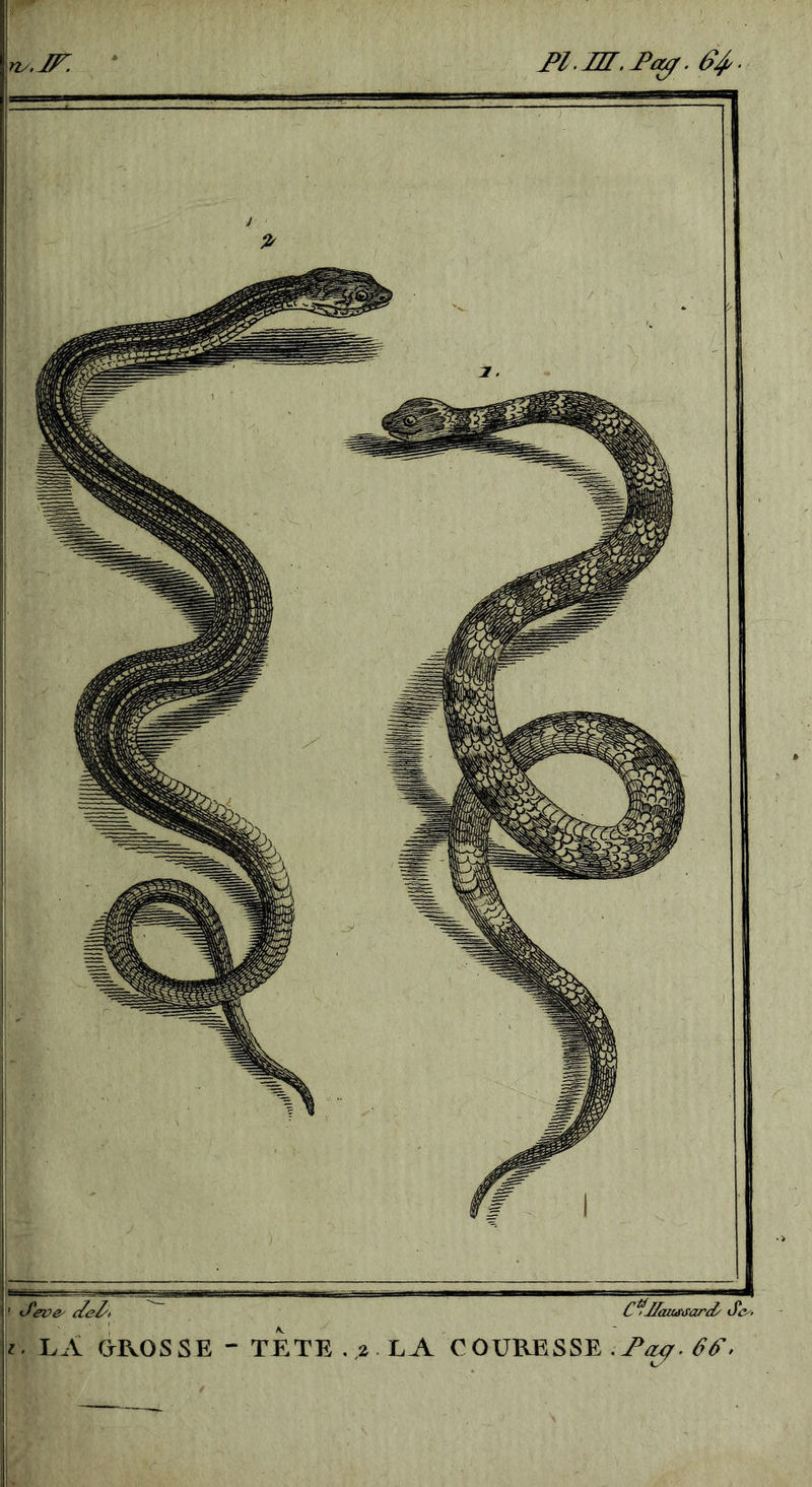 ’ ifeve^ Jel'i C^Hautitard' ny.JJ^.