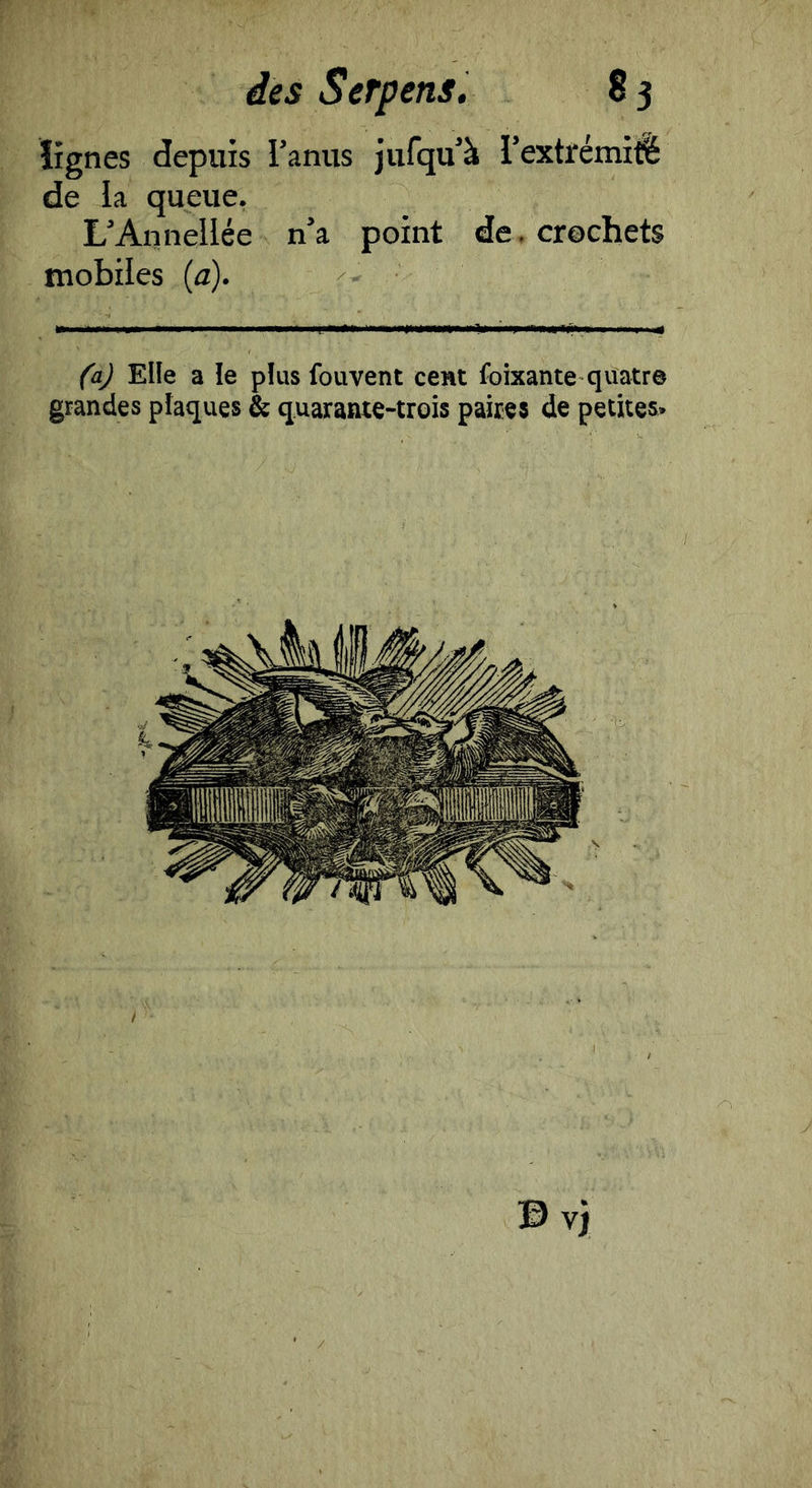 îignes depuis l’anus jufqu’à l’extrémité de la queue. L’Annellée n’a point de. crochets mobiles {a). (a) Elle a le plus fouvent cent foixante quatre grandes plaques & quarante-trois paires de petites*