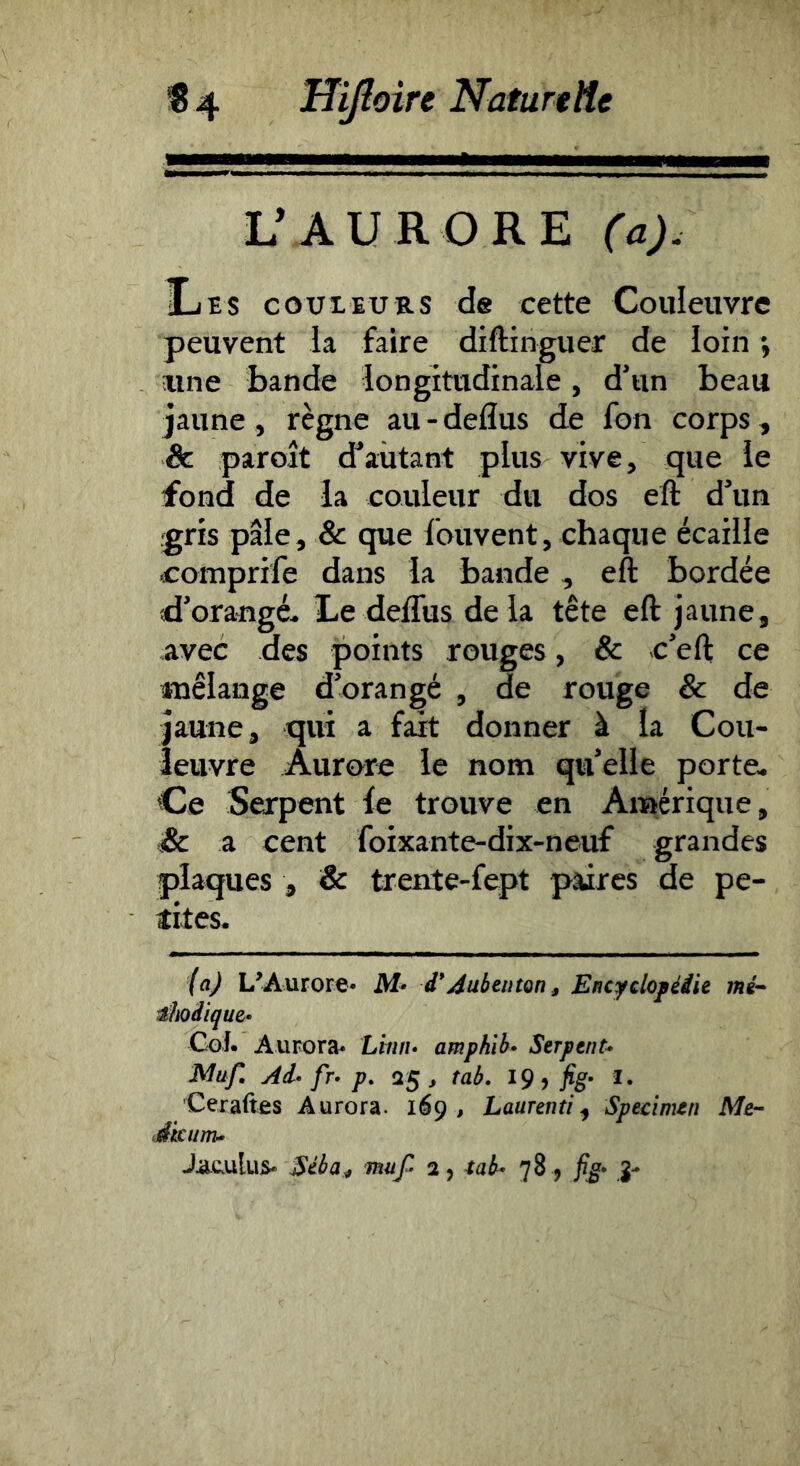 LVAURORE (a). ILes couiEURS de cette Couleuvre peuvent la faire diftinguer de loin ; aine bande longitudinale, d’un beau jaune , règne au - deflus de fon corps, Sc paroît d’autant plus vive, que le fond de la couleur du dos eft d’un gris pale, & que fouvent, chaque écaille «comprife dans la bande, eft bordée d’orangé. Le deflus delà tête eft jaune, avec des points rouges, & -c’eft ce mélange d’orangé , de rouge & de jaune, qui a fait donner à la Cou- îeuvre Aurore le nom qu’elle porte. Ce Serpent fe trouve en Amérique, & a cent foixante-dix-neuf grandes plaques , & trente-fept paires de pe- tites. (a) L’Aurore- Af- d'Aubenton, Encydoféiie ntt- ^hoiiquz- Goî. Aurora- Lirui> amphih» Serpent» Muf, Ai» fr» Pt 25, tab. ï. Ceraftes Aurora. 169, Laurenti ^ Specimen Me- Æcum^ J.aculu^ ^éba^ muf 2, tab» 78 , fig» g-