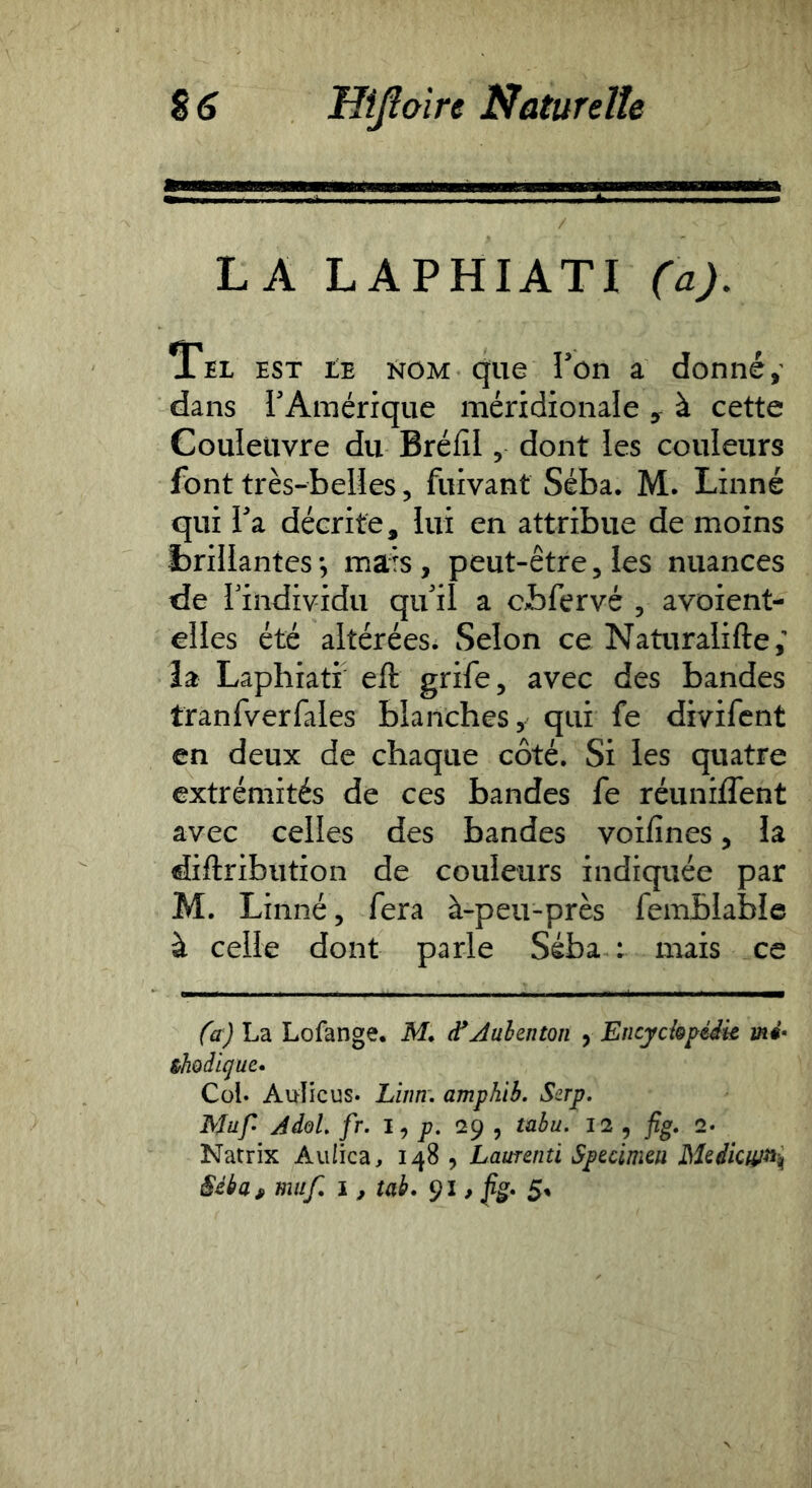 LA LAPHIATI (a). Tel est Le nom que Ton a donné, dans rAmérîque mérîdionale y à cette Couleuvre du Bréfil, dont les couleurs font très-belles, fuivant Séba. M. Linné qui fa décrite, lui en attribue de moins brillantes mars , peut-être, les nuances de rindividu qu'il a cbfervé , avoient- elles été altérées; Selon ce Naturalifte,” la Laphiatf eft grife, avec des bandes tranfverfales blanches, qui fe divifcnt en deux de chaque côté. Si les quatre extrémités de ces bandes fe réuniflent avec celles des bandes voifines, la diftribution de couleurs indiquée par M. Linné, fera à-peu-près femblable à celle dont parle Séba : mais ce (a) La Lofange. M. d*Jubentoii , Encychpéik thodigue» Col. Auîicus. Liim. amphib. Serp. Muf AdoL fr. p. Î29 , tabu. 12 , fig, 2. Natrix Aulica, 148 , Laurenti Specimm Séba, mitf, i, tab, 91 > 5»