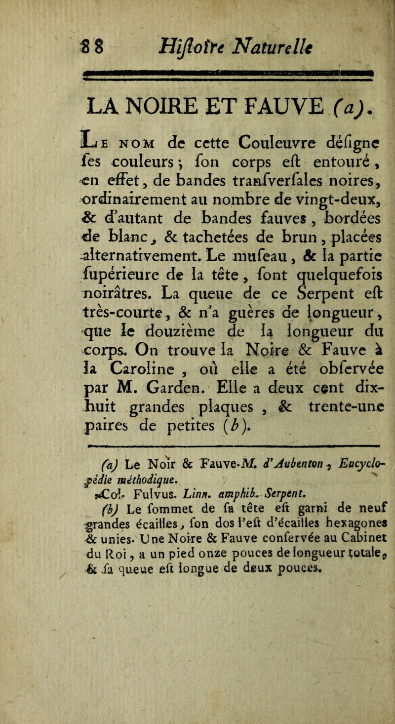 LA NOIRE ET FAUVE (a). Le nom de cette Couleuvre défigne fes couleurs > fon corps eft entouré, en effet, de bandes traûfverfales noires, ordinairement au nombre de vingt-deux, & d'autant de bandes fauves, bordées de blanc ^ & tachetées de brun , placées -alternativement. Le mufeau, & la partie fupérieure de la tête, font quelquefois noirâtres. La queue de ce Serpent eft très-courte, & n'a guères de longueur, que le douzième de la longueur du corps. On trouve la Noire & Fauve à la Caroline , ou elle a été obfcrvée par M. Garden. Elle a deux cent dix- huit grandes plaques , & trente-une paires de petites {b). (a) Le Noîr & Fauve-M. d*Aubtnton Eacyclo^ ,pédie méthodique, îÆaî. Fulvus. Linn. amphlL Serpent. (b) Le fommet de fa tête eft garni de neuf grandes écailles^ fon dosl’eft d’écailles hexagones ék unies. Une Noire & Fauve confervée au Cabinet du Roi, a un pied onze pouces de longueur totale^ & .fa queue eft iongue de deux pouces.