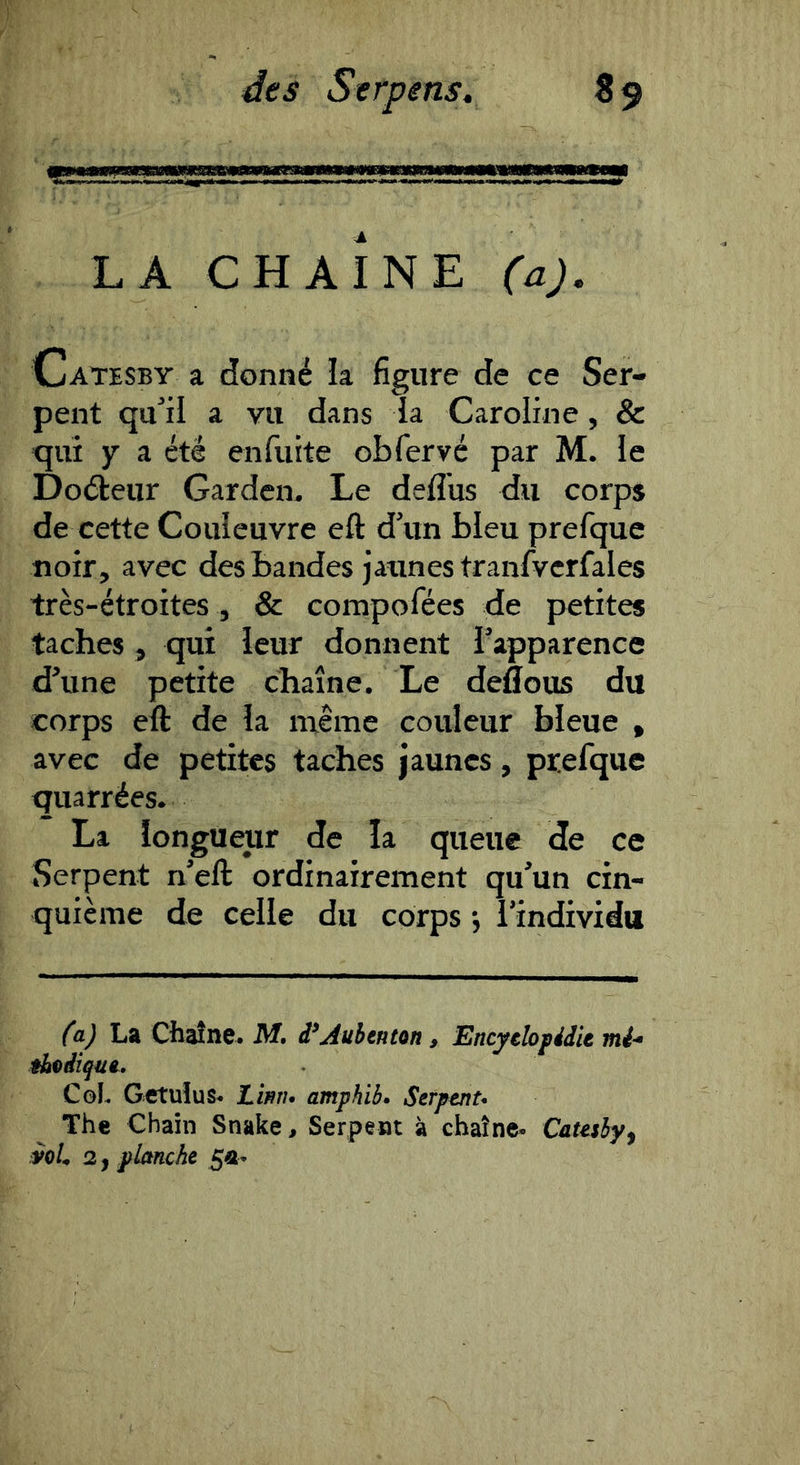 LA CHAINE (aj, Catesby a donné la figure de ce Ser- pent qu’il a vu dans la Caroline, & qui y a été enfuite obfervé par M. le Doéteur Garden. Le defl’us du corps de cette Couleuvre eft d’un bleu prefque noir, avec des bandes jaunes tranfvcrfales très-étroites , & compofées de petites taches, qui leur donnent l’apparence d’une petite chaîne. Le deflous du corps eft de la même couleur bleue , avec de petites taches jaunes, prefque quarrées. La longueur de la queue de ce Serpent n’eft ordinairement qu’un cin- quième de celle du corps j l’individu faj La Chaîne. M. i‘Aubtnun, Encytlojpidit mi- thediquê. CoL Gctuîus- Limu amphib» Serpent* The Chain Snake> Serpent à chaîne- Cateshy^ ioL 2, planche 50-