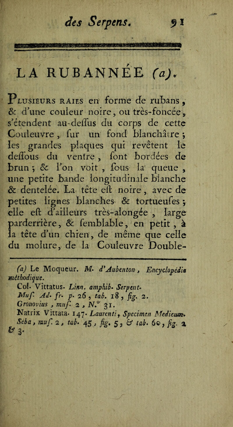 LA RUBANNÉE (a). Plusieurs raies en forme de rubans, & d\ine couleur noire, ou très-foncée, s'étendent aiudefllis du corps de cette Couleuvre , fur un fond blanchâtre •, les grandes plaques qui revêtent le deffous du ventre, font bordées de brun -, & l'on voit , fous Ir queue , une petite bande longitudinale blanche & dentelée. La tête eft noire , avec de petites lignes blanches & tortiieiifes ; elle eft d'ailleurs très-alongée , large parderrière, 8c femblable, en petit , à la tête d'un chien , de même que celle du molure, de la Couleuvre Double- fa) Le Moqueur. M» d^Aubenton, Encyclopédie méthodique. Cof« Vittatus. Lîm. amphïb> SerpenU Muf Aâ< fr< P* 26 , tab, l8 , 2. Groiiovius j miif^ 2 > iV.^ Natrix Vittata. 147. Laurenti^ Specimen Medieim^ Séba, muf 2, tab. 45, fig. 5^ 6» tak* 6®, 2^ ^ 3*