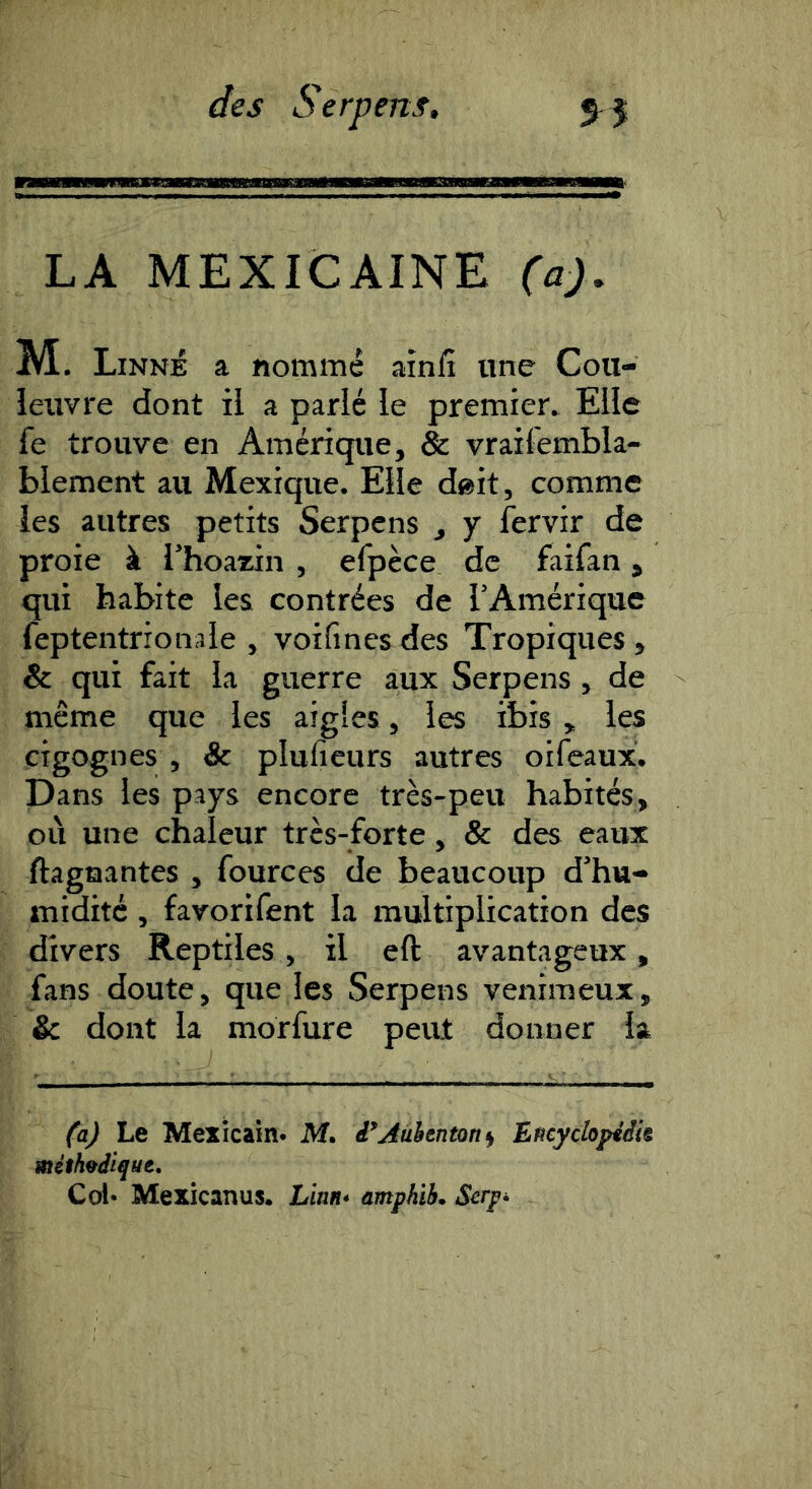 m LA MEXICAINE fûj. M. Linné a nommé ainlî une Cou- leuvre dont il a parlé le premier. Elle fe trouve en Amérique, & vraifembla- blement au Mexique. Elle d®it, comme les autres petits Serpens , y fervir de proie à l’hoazin , efpèce de faifan, qui habite les contrées de l’Amérique feptentrionale , voifines des Tropiques , & qui fait la guerre aux Serpens , de meme que les aigles, les ibis , les cigognes , & plufieurs autres oifeaux. Dans les pays encore très-peu habités, où une chaleur très-forte, & des eaux ftagaantes , fources de beaucoup d’hu- midité , favorifent la multiplication des divers Reptiles, il efl: avantageux, fans doute, que les Serpens venimeux, & dont la morfure peut donner la ('aj Le Mexicain. M. J^jiuéeneortf Encyclopiâit méthodique. Col* Mexicanus. Lian* amphiL Scrp^