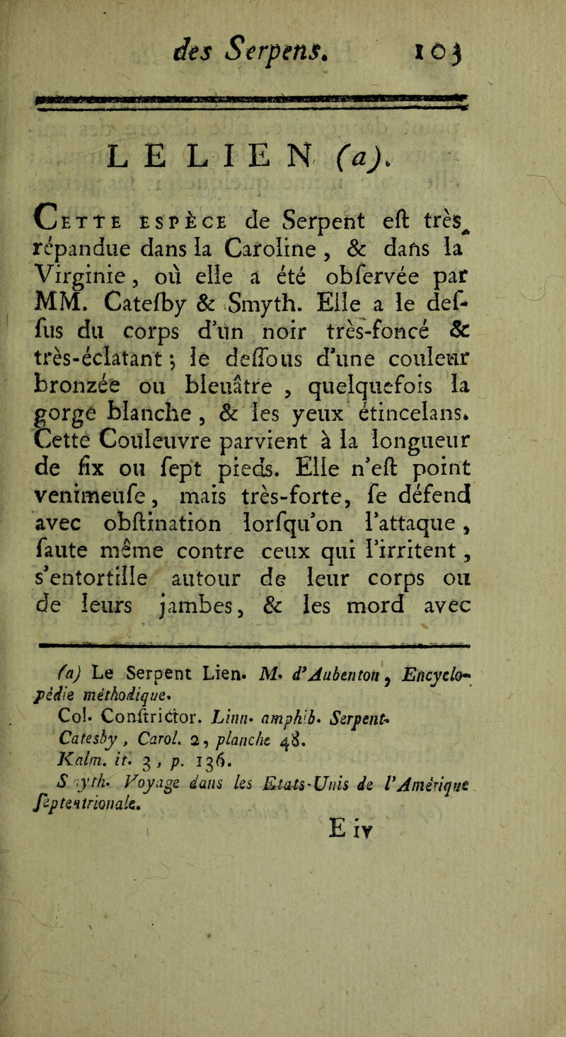 LE LIEN (a). C/ETtE ESPÈCE de Serpent eft très^ répandue dans la Caroline , & dans la Virginie, où elle a été obTervée par MM. Catefby & Smyth. Elle a le def- fus du corps d’iin noir très-foncé & très-éclatant ; le deflbus d’une couleur bronzée ou bleuâtre , quelquefois la gorge blanche, & les yeux étincela ns. Cette Couleuvre parvient à la longueur de fîx ou fept pieds. Elle n’eft point venimeufe, mais très-forte, fe défend avec obftination lorfqu’on l’attaque, faute même contre ceux qui l’irritent, s’entortille autour de leur corps ou de leurs jambes, & les mord avec ^aj Le Serpent Lien. M. d*Aubenton^ Èncyelo- pèdie méthoiique* Col* Conftriétor. Liiiih ampklb* Serpent- Catesby, Carol. 2, planche 48. Kaim, it* ^ , p. 136. S y tlu Voyage dans les Etats'Unis de l* Amérique feptentrionak^