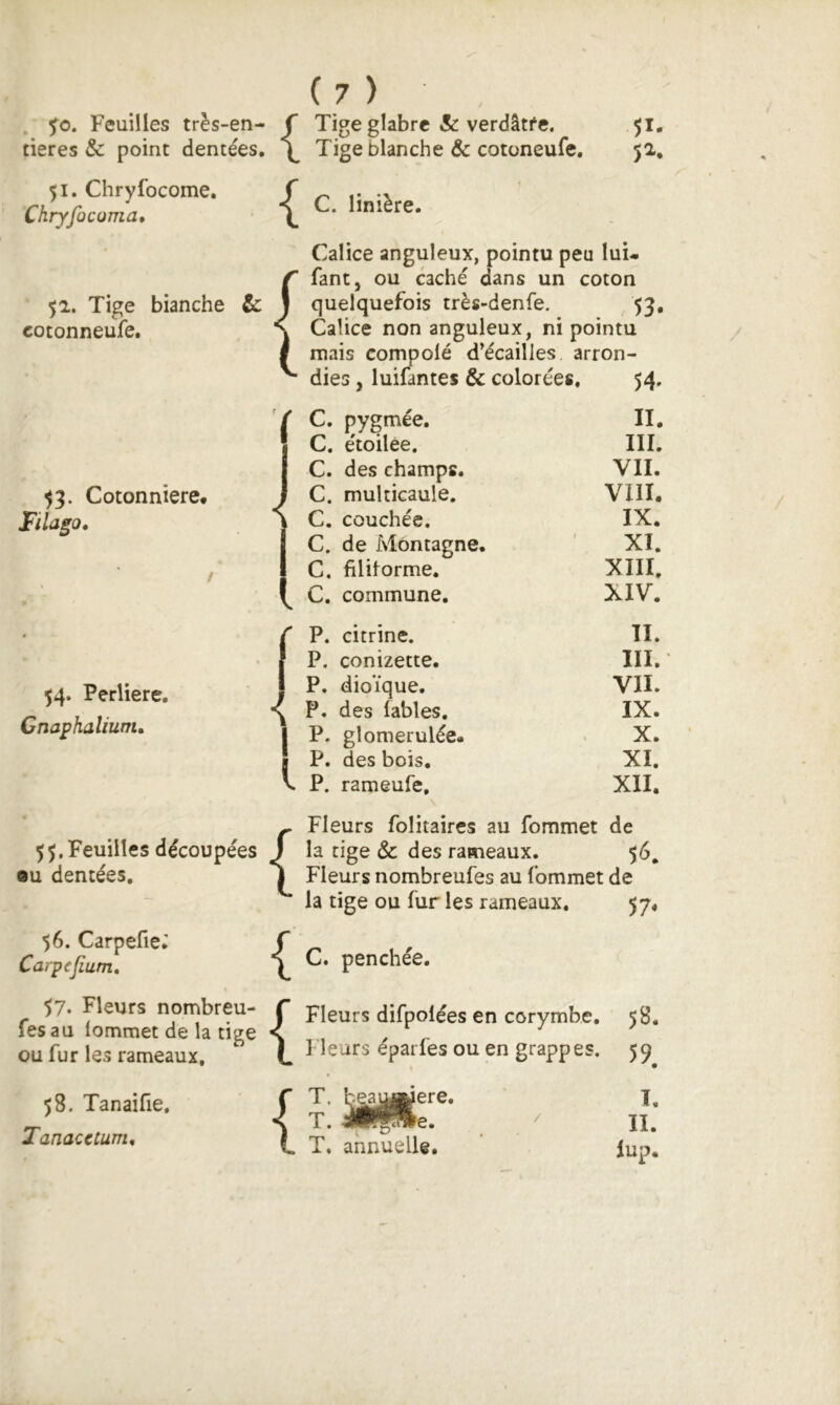 5^0. Feuilles très-en- f tieres & point dentées, \ 51. Chryfocome. Chryfocoma» { ( 7 ) Tige glabre Sc verdâtfe. Tige blanche Ôc cotoneufe, C. linière. 51- 5^. 51. Tige bianche & J cotonneule, ^ ^3. Cotonnière* Filago, 54. Perliere, Cnaphaîiuüu 55. Feuilles découpées eu dentées. 56. CarpefieJ Carpefium» Calice anguleux, pointu peu lui- fant, ou caché dans un coton quelquefois très-denfe. 53, Calice non anguleux, ni pointu mais compolé d’écailles arron- dies J luifantes & colorées, 54. I l C. pygmée, C. étoilée, C. des champs. C. multicaule. C. couchée. C. de Montagne. C. filiforme. C. commune. P. citrine. P. conizette. P. dioïque, P. des fables, P. glomerulée* P. des bois, P. rameufe. II. III. VII. VIII* IX. XI. XIII, XIV. II. III. VII. IX. X. XI. XII. { Fleurs folitaires au fommet de la tige & des rameaux. 56, Fleurs nombreufes au fommet de la tige ou fur les rameaux. 57, C. penchée. 57. Fleurs nombreu- fes au lommet de la tige ou fur les rameaux. 58. Tanaifie, Tanacctum, Fleurs difpolées en corymbe. Fleurs éparfes ou en grappes. T. T. T. annuelle. 5B. 59. I, II. lup.