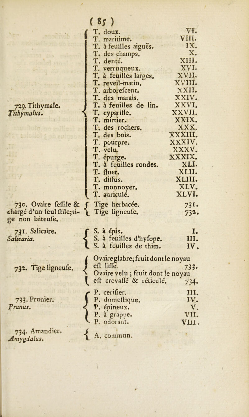 ( 8; ) 719* Tithymale. Titkymalus» 730. Ovaire fefTile & chargé d^un feulftile^ti* ge non laiteufe. 7^1. Salicaire, SaUcaria, 731. Tige ligneufe. { { I 733. Prunier. Prunus, 734. Amandier. uimygdalus. T. doux. VL T. maritime. VIII. T. à feuilles aigues. IX. T. des champs. X. T. denté. XIII. T. verruqueux. XVL T, à feuilles larges. XVIL T. reveil-matin. XVIII. T. arborefcent. XXII. T. des marais. XXIV. T. à feuilles de lin. XXVI. T, cyparifle. XXVII. T. mirtier. XXIX. T; des rochers. XXX. T. des bois. XXXIII. T. pourpre. XXXIV. T. velu. XXXV. T. épurge. XXXIX. T. à feuilles rondes. XLL T. fluet. XLII. T. diffus. XLIIL T. monnoyer. XLV. T. auriculé. XLVI. Tige herbacée. 731* Tige ligneufe. 732-. S. à épis. I. S. à feuilles d’hyfope. III. S. à feuilles de thim. IV. Ovaire glabre; fruit donc le noyau eft liffe. Ovaire velu : fruit dont le noyau efl: crevafTé & réticulé. 734- P. cerifier. ÎIT. P. domeftique. JV. V. épineux. V. P. à grappe. VII. P. odorant. vm. A. commun.