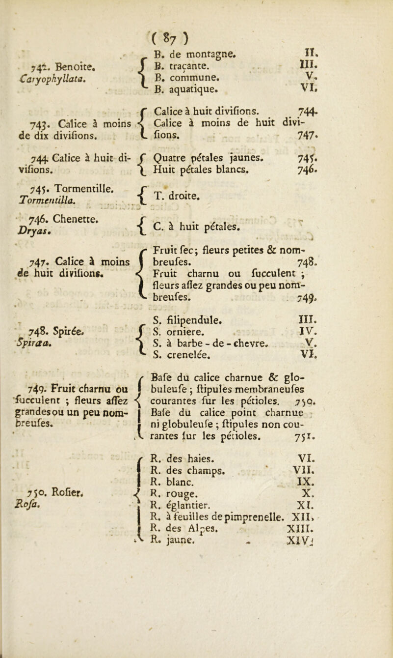 / '( s? ) 74^. Benoîte, Caryophyllata» 743. Calice à moins de dix divifions. B. de montagne, B. traçante. i « B. commune. B. aquatique. Calice à huit divifions. Calice à moins de huit fions. n. ni, V, VI. 747. 744, Calice à huit di- vifions. 745, Tormentille. Tormentilla. 746. Chenette. Dry as. 747. Calice à moins dé huit divifions, « . Quatre pétales jaunes, 741* Huit pétales blancs. 746, T. droite. C. à huit pétales, ' • -s Fruit fec ; fleurs petites & nom- breufes. 748. Fruit charnu ou fucculent j fleurs allez grandes ou peu nbm- breufes. . 749, 748. Spirée# Spiraa, S, fîlipendule, {S. orniere. S. à barbe - de - chevre, S. crenelée. ÎII. IV. V. vi. rBafe du calice charnue & glo- buleufe ; ftipules membraneufes ■fucculent ; fleurs affez ^ courantes fur les pétioles. 7^0. grandes ou un peu nom- | Bafe du calice point charnue ' breufes. ' ! ni globuleufe ; ftipules non cou- A rantes lur les pétioles. 751. 750. Rofier. Rcfa, / R. des haies. VI. 1 R. des champs. VU. 1 R. blanc. IX. / R. rouge. X. R. églantier. XI. R. à feuilles de pimprenelle. XII> R. des Alpes. XIII. A R. jaune. XI Vj