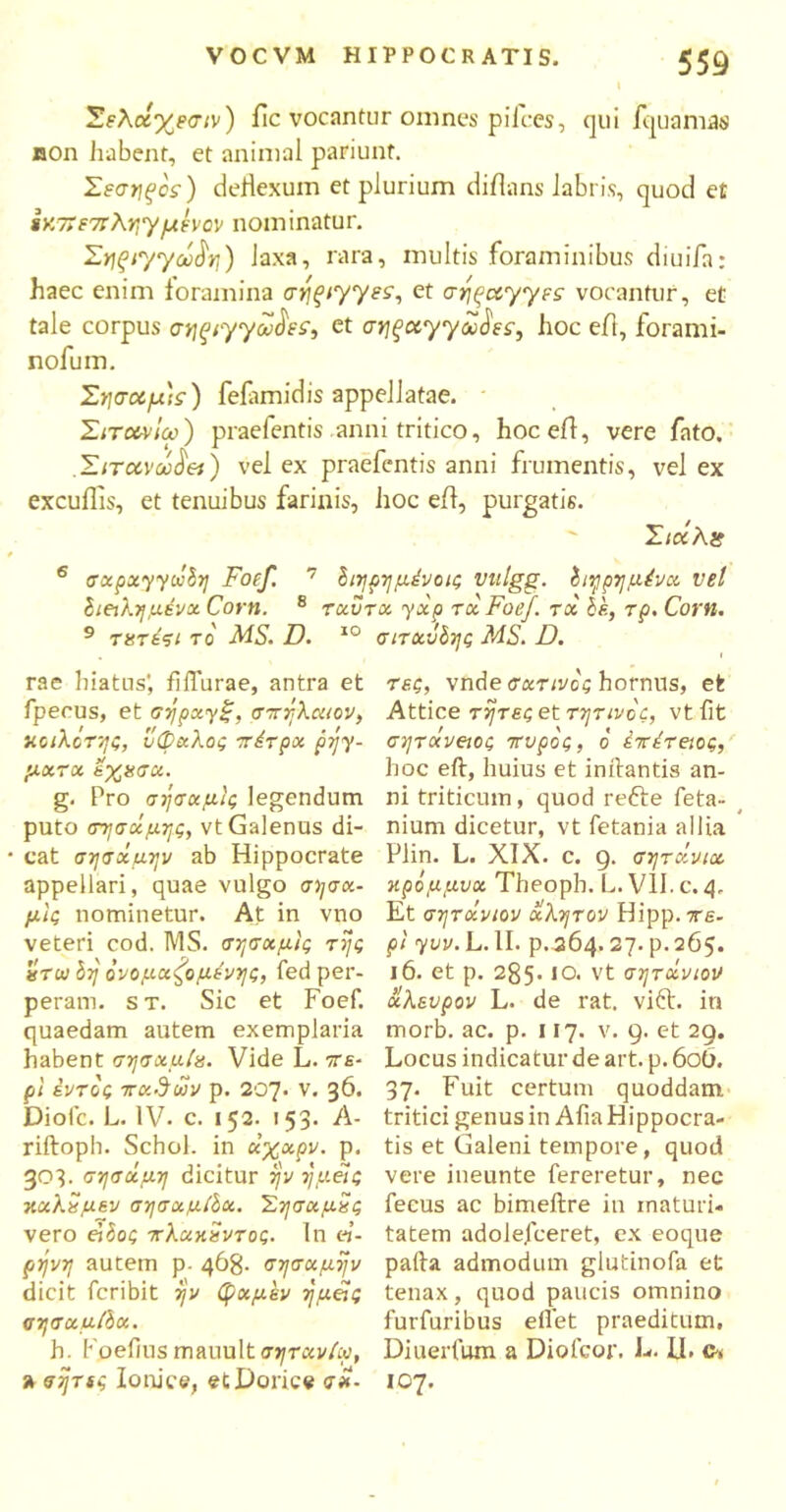 Σελοίχεσιν) fic vocantur omnes pilees, qui fouamae non habent, et animal patiunt. Σεσηξος) deflexum et plurium diilans labris, quod et 8X7Tf7τληγμενον nominatur. Σϊΐξΐ'γγωβη) laxa, rara, multis foraminibus diuifa: haec enim foramina a^iyyss, et aripocyyps vocantur, et tale corpus σηξΐγγω$ε£, et ay]qotyyo0$ss, hoc efl, forami- nofum. Σησαμ)ς) feiamidis appellatae. Σιτοονΐω) praelentis anni tritico, hoceil, vere fato. .Σιτανω^βί) vel ex praefentis anni frumentis, vel ex excuifis, et tenuibus farinis, hoc eil, purgatis. Σκχλχ Ιιηρημένοις vulgg. Τηρημένα vel ταυτα· yxp τα Foef. τχ hk, τρ. Corn. 10 σιταυδης MS. D. 6 σχρχγγωδη Foef. ' διειλημένχ Corn. 8 9 τετέσι το MS. D. rae hiatus', fifTurae, antra et fpecus, et σήρχγξ, σπηλαιον, κοιλοτης, ύφαλος τέτρχ p?jy- μχτχ εχεσχ. g. Pro σήσχμις legendum puto σησχμης, vt Galenus di- cat σησοίμην ab Hippocrate appellari, quae vulgo σ>/σα- μϊς nominetur. At in vno veteri cod. MS. σησαμίς της ετω δη ονομασμένης, fed per- peram. st. Sic et Foef. quaedam autem exemplaria habent σησχμίε. Vide L. ττε- pl εντός παΰων p. 207. v. 36. Diofc. L. IV- c. 152. 153. A- riftoph. Schol. in χχχρν. p. 303. σησχμη dicitur ην ημάς κχλεμεν σησχμίδχ. Σησχμες vero ei Ιος πλακεντος. 1η ρήνη autem ρ- 4^8- σησχμην dicit feribit ην φχμεν ημείς σησχμ/δα. h. Foeiius mauultσητχνίω, » σητίς Ionice, et Dorice <7*. τες, vnde σχτινος hornus, et Attice τητες et τητινος, vt iit σητοίνειος τυρός, ο επέτειος, hoc eft, huius et initantis an- ni triticum, quod refte feta- nium dicetur, vt fetania allia Plin. L. XIX. c. 9. σητχνιχ κρόμμνχ Theoph. L.V1I.C. 4, Et σητοίνιον χλητον Ηΐρρ.ττε- pl yuv. L. II. p. 264.27. p. 265. 16. et p. 285. IO. vt σητοίνιον χλευρον L. de rat. vift. in morb. ac. p. 117. v. 9. et 29. Locus indicatur de art. p. 606. 37. Fuit certum quoddam tritici genus in Aha Hippocra- tis et Galeni tempore, quod vere ineunte fereretur, nec fecus ac bimeftre in maturi- tatem adolefceret, ex eoque paita admodum glutinofa et tenax, quod paucis omnino furfuribus eifet praeditum, Diuerfum a Diofcor. L. IJ. 107.