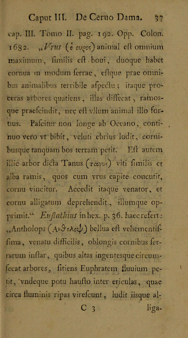 Caput IIT. De Cerno Dama. 57 cap. III. Tomo IJ. pag. 192. Opp. Colon. 1632. „ Vms (c cvoci) animal efl omnium maximum, fimilis eft-boui, duoque habet cornua m modum Terrae, eflque prae omni- bus animalibus terribile afpedu ; itaque pro- ceras arbores quatiens, illas diflecat, ramos- que praelcindit, nec efl vllum animal illo for- tius. Pafcitur non loime ab Oceano, conti- nuo vero vt bibit, veluti ebrius ludit, corni- busque tanquam bos terram petit. Efl autem illic arbor dicra Tanus (rcevvt) viti fimilis et alba ramis, quos cum vrus capite concutit, cornu vincitur. Accedit itaque venator, et cornu alligatum deprehendit, illumque op- primitd Kvjlathius inhex. p. 36. haec refert: „Antholops (AfS-cAcip) bcllua eil vehementif- fima, venatu difficilis, oblongis cornibus fer- iarum inflar, quibus altas ingentesque circum- fecat arbores 3 fitiens Euphratem iluuium pe- tit, 'vndeque potu haufio inter ericulas, quae circa liuminis ripas virefeunt, ludit iisque al- C 3 liga-