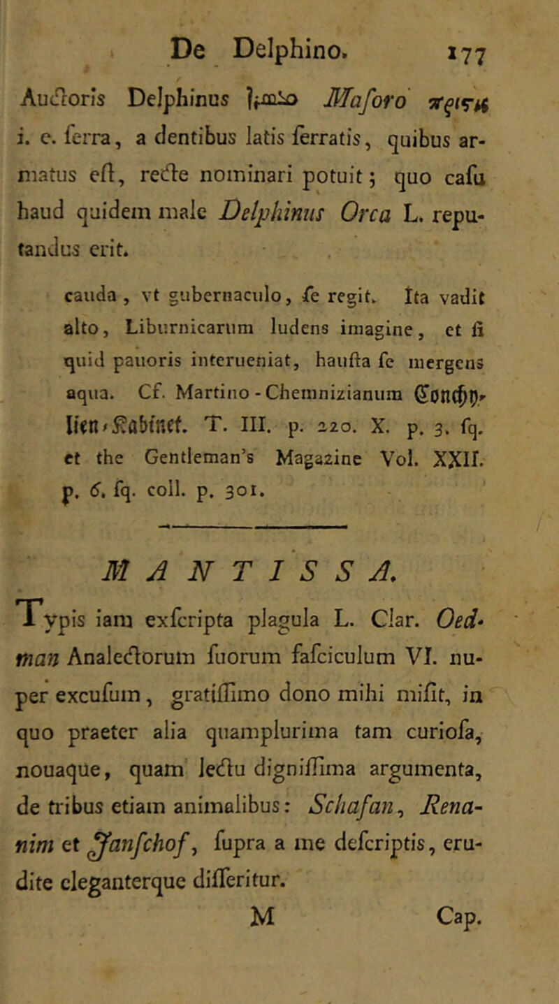 Audloris Delphinus Maforo i. e. lerra, a dentibus latis ferratis, quibus ar- matus eft, recde nominari potuit; quo cafu haud quidem male Delphinus Orca L. repu- tandus erit. cauda, vt gubernaculo, /e regit. Ita vadit alto, Liburnicarum ludens imagine, et fi quid pauoris interueniat, haufta fe mergens aqua. Cf. Martino - Chemnizianum lien^abtaff. T. m. p. 220. x. p. 3. fq. et the Gentleman’s Magazine Vol. XXIh p. 6. fq. coli. p. 301. M A N T I S S A. Typis iam exferipta plagula L. Clar. Oeci* m an Analeclorum fuorum fafciculum VI. nu- per excufum , gratidimo dono mihi mifit, in quo praeter alia quamplurima tam curiofa, nouaque, quam Jetdu dignidima argumenta, de tribus etiam animalibus: Schafan, Rena- nim et <Janfchof, fupra a me deferiptis, eru- dite cleganterque dideritur. M Cap.