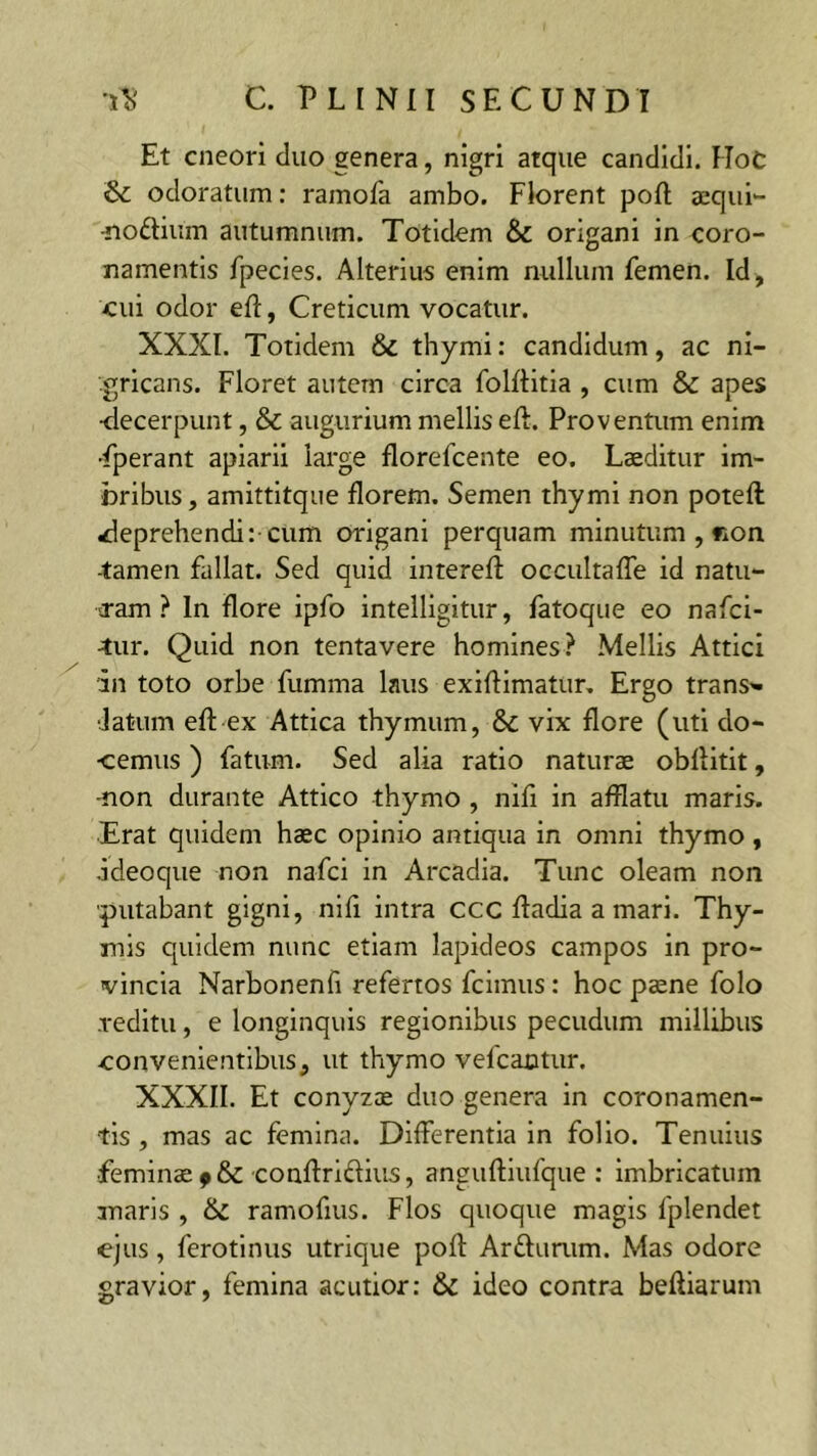 Et cneori cluo genera, nigri atque candidi. HoC & odoratum: ramofa ambo. Florent poft aequi» -nottium autumnum. Totidem & origani in coro- namentis fpecies. Alterius enim nullum femen. Id, cui odor efl, Creticum vocatur. XXXI. Totidem & thymi: candidum, ac ni- gricans. Floret autem circa Tolftitia , cum & apes •decerpunt, & augurium mellis eft. Proventum enim •fperant apiarii large florefcente eo. Laeditur im- bribus , amittitque florem. Semen thymi non potefl deprehendi:-cum origani perquam minutum , non -tamen fallat. Sed quid interefl occultaffe id natu- ram ? In flore ipfo intelligitur, fatoque eo nafci- -iur. Quid non tentavere homines? Mellis Attici an toto orbe fumma laus exiflimatur. Ergo trans» ■latum eftex Attica thymum, vix flore (uti do- cemus ) fatum. Sed alia ratio naturae obflitit, -non durante Attico thymo , nifi in afflatu maris. Erat quidem haec opinio antiqua in omni thymo , jcleoque non nafci in Arcadia. Tunc oleam non ■putabant gigni, nifi intra ccc ffadia a mari. Thy- mis quidem nunc etiam lapideos campos in pro- vincia Narbonenfi refertos fcimus: hoc paene folo reditu, e longinquis regionibus pecudum millibus convenientibus, ut thymo vefcantur. XXXII. Et conyzae duo genera in coronamen- tis , mas ac femina. Differentia in folio. Tenuius feminae ptk. conflricfius, anguftiufque : imbricatum maris , & ramofius. Flos quoque magis fplendet ejus, ferotinus utrique poft Ar&umm. Mas odore gravior, femina acutior: & ideo contra beftiarum