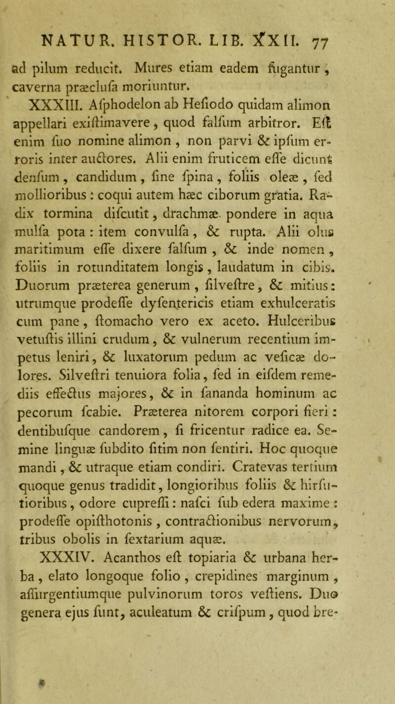 ad pilum reducit. Mures etiam eadem fligantur , caverna praeclufa moriuntur. XXXIII. Afphodelon ab Hefiodo quidam alirnon appellari exillimavere, quod falfum arbitror. Eli enim fuo nomine alirnon , non parvi & ipfum er- roris inter au&ores. Alii enim fruticem elfe dicunt denfum , candidum , line fpina , foliis oleae , fed mollioribus : coqui autem haec ciborum gratia. Ra- dix tormina difcutit, drachmae, pondere in aqua mulla pota : item convulfa, & rupta. Alii olus maritimum elfe dixere falfum , & inde nomen , foliis in rotunditatem longis, laudatum in cibis. Duorum praeterea generum , filvelire, &: mitius: utrumque prodelfe dyfenjericis etiam exhulceratis cum pane, liomacho vero ex aceto. Hulceribus vetullis illini crudum, & vulnerum recentium im- petus leniri, & luxatorum pedum ac veficae do- lores. Silveliri tenuiora folia, fed in eifdem reme- diis effe&us majores, & in fananda hominum ac pecorum fcabie. Praeterea nitorem corpori fieri: dentibufque candorem, fi fricentur radice ea. Se- mine linguae fubdito litim non fentiri. Hoc quoque mandi, &C utraque etiam condiri. Cratevas tertium quoque genus tradidit, longioribus foliis & hirfu- tioribus, odore cuprefli: nafci fub edera maxime : prodelfe opifthotonis , contra&ionibus nervorum, tribus obolis in fextarium aquae. XXXIV. Acanthos eft topiaria & urbana her- ba, elato longoque folio, crepidines marginum, alfurgentiumque pulvinorum toros velliens. Duo genera ejus funt, aculeatum &c crifpum, quod bre-