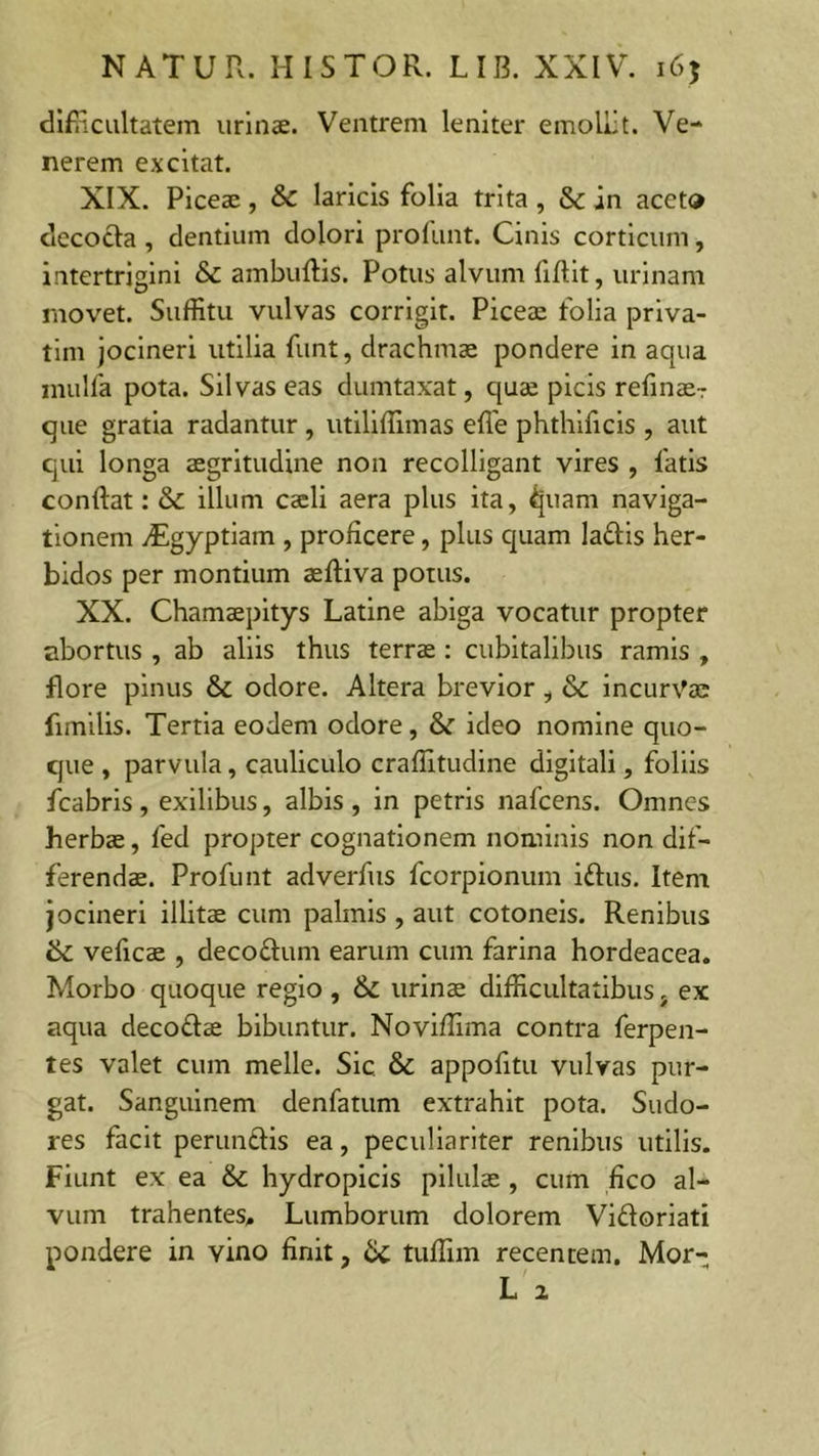 difficultatem urinae. Ventrem leniter emollit. Ve- nerem excitat. XIX. Piceae, & laricis folia trita , & in aceto decoda, dentium dolori profunt. Cinis corticum, intertrigini & ambudis. Potus alvum fidit, urinam movet. Suffitu vulvas corrigit. Picea; folia priva- tim jocineri utilia funt, drachmae pondere in aqua mulla pota. Silvas eas dumtaxat, quae picis refinaer que gratia radantur, utiliffimas ede phthidcis , aut qui longa aegritudine non recolligant vires , fatis condat: & illum caeli aera plus ita, ijuam naviga- tionem vEgyptiam , proficere, plus quam ladis her- bidos per montium aediva potus. XX. Chamaepitys Latine abiga vocatur propter abortus , ab aliis thus terrae : cubitalibus ramis , flore pinus & odore. Altera brevior, & incurVac fimilis. Tertia eodem odore, & ideo nomine quo- que , parvula, cauliculo craffitudine digitali, foliis fcabris , exilibus, albis , in petris nafcens. Omnes herbae, fed propter cognationem nominis non dif- ferendae. Profunt adverfus fcorpionum idus. Item jocineri illitae cum palmis , aut cotoneis. Renibus tk veficae , decodum earum cum farina hordeacea. Morbo quoque regio , & urinae difficultatibus, ex aqua decodae bibuntur. Noviffima contra ferpen- tes valet cum meile. Sic. & appofitu vulvas pur- gat. Sanguinem denfatum extrahit pota. Sudo- res facit perundis ea, peculiariter renibus utilis. Fiunt ex ea hydropicis pilulae , cum fico al- vum trahentes. Lumborum dolorem Vidoriati pondere in vino finit, ix. tuflim recentem. Mor-