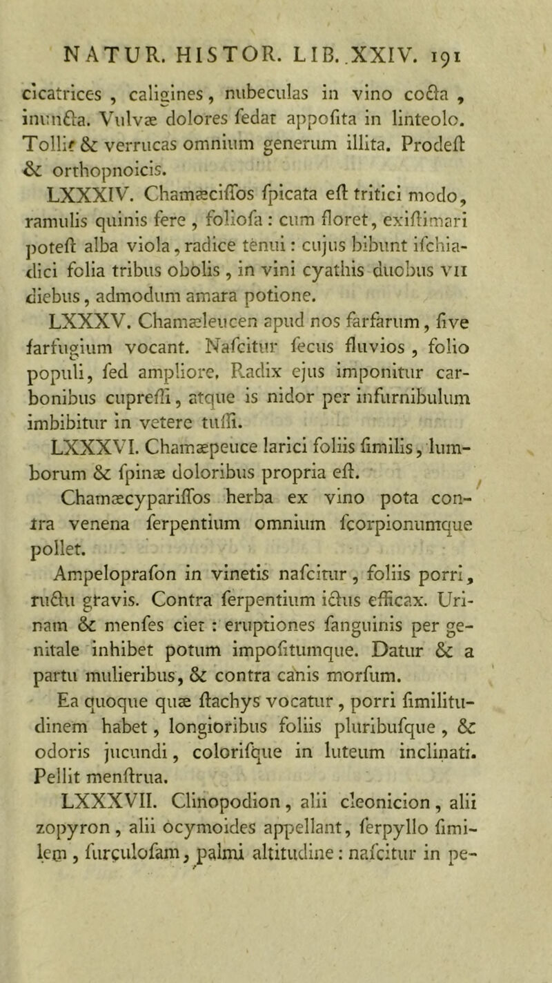 cicatrices , caligines, nubeculas in vino cofta , inun&a. Vulvae dolores fedar appofita in linteolo. Tollit & verrucas omnium generum illita. Prodeft <k. orthopnoicis. LXXXIV. Chamafeciffos fpicata eR tritici modo, ramulis quinis fere , foliola : cum floret, exiRimari poteR alba viola, radice tenui: cujus bibunt ifchia- dici folia tribus obolis , in vini cyathis duobus vn diebus, admodum amara potione. LXXXV. Chamaeleucen apud nos farfarum, five farfugium vocant. Nafcitur fecus fluvios , folio populi, fed ampliore, Radix ejus imponitur car- bonibus cuprefli, atque is nidor per infurnibulum imbibitur in vetere tufli. LXXXVI. Chamaepeuce larici foliis fimilis, lum- borum & fpinae doloribus propria eR. Chamcecypariffos herba ex vino pota con- tra venena ferpentium omnium fcorpionumque pollet. Ampeloprafon in vinetis nafcitur, foliis porri, rufhi gravis. Contra ferpentium iclus eRicax. Uri- nam & menfes ciet : eruptiones fanguinis per ge- nitale inhibet potum impofitumque. Datur & a partu mulieribus, & contra canis morfum. Ea quoque quae Rachys vocatur , porri fimilitu- dinem habet, longioribus foliis pluribufque , odoris jucundi, colorifque in luteum inclinati. Pellit menRrua. LXXXVII. Clinopodion , alii cleonicion , alii zopyron , alii ocymoides appellant, ferpyllo fimi- lem , furculofam, palmi altitudine: nafcitur in pe-