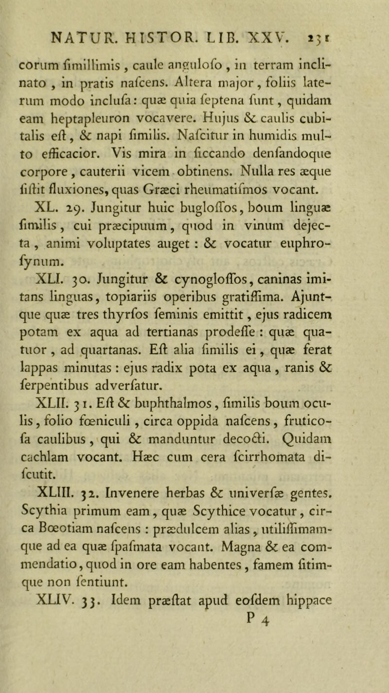 eorum fimillimis , caule angulofo , in terram incli- nato , in pratis nafcens. Altera major, foliis late- rum modo inclufa: quae quia feptena funt, quidam eam heptapleuron vocavere. Hujus & caulis cubi- talis eft, & napi fimilis. Nafcitur in humidis mul- to efficacior. Vis mira in ficcando denfandoque corpore, cauterii vicem obtinens. Nulla res aeque lilfit fluxiones, quas Graeci rheumatifmos vocant. XL. 19. Jungitur huic bugloflos, boum linguae fimilis, cui praecipuum, quod in vinum dejec- ta , animi voluptates auget : & vocatur euphro- fynum. XLI. 30. Jungitur & cynogloflos, caninas imi- tans linguas, topiariis operibus gratiflima. Ajunt- que quae tres thyrfos feminis emittit, ejus radicem potam ex aqua ad tertianas prodefle : quae qua- tuor , ad quartanas. Eft alia fimilis ei, quae ferat lappas minutas : ejus radix pota ex aqua , ranis &C ferpentibus adverfatur. XLH. 3 1. Efl & buphthalmos , fimilis boum ocu- lis , folio foeniculi , circa oppida nafcens, frutico- fa caulibus , qui & manduntur decofti. Quidam cachlam vocant. Haec cum cera fcirrhomata di- fcutit. XLIII. 32. Invenere herbas & univerfae gentes. Scythia primum eam , quae Scythice vocatur, cir- ca Boeotiam nafcens : praedulcem alias, utiliflimam- que ad ea quae fpafinata vocant. Magna & ea com- mendatio, quod in ore eam habentes, famem fitim- que non fentiunt. XLIV. 33. Idem praeftat apud eofdem hippace P4