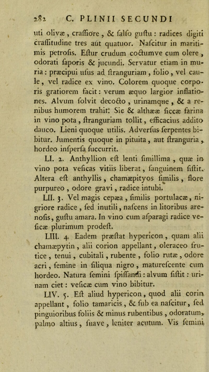 uti olivas, craftiore , & falfo guftu : radices digiti craflitudine tres aut quatuor. Nafcitur in mariti- mis petrofis. Eftur crudum cochimve cum olere , odorati faporis & jucundi. Servatur etiam in mu- ria : praecipui ufus ad ftranguriam , folio , vel cau- le , vel radice ex vino. Colorem quoque corpo- ris gratiorem facit: verum aequo largior inflatio- nes. Alvum folvit deco&o , urinamque , & a re- nibus humorem trahit: Sic & althaeae ficcae farina in vino pota , flranguriam tollit, efficacius addito dauco. Lieni quoque utilis. Adverfus ferpentes bi- bitur. Jumentis quoque in pituita, aut ftranguria hordeo infperfa fuccurrit. LI. i. Anthyllion eft lenti fimillima , quae in vino pota veficas vitiis liberat, fanguinem fiftit.' Altera eft anthyllis , chamaepityos fimilis , flore purpureo , odore gravi, radice intubi. LII. 3. Vel magis cepaea , fimilis portulacae, ni- griore radice , fed inutili, nafcens in litoribus are- nofis, guftu amara. In vino cum afparagi radice ve- ficae plurimum prodeft. LIII. 4. Eadem praeftat hypericon , quam alii chamaepytin , alii corion appellant, oleraceo fru- tice , tenui, cubitali, rubente , folio rutae , odore acri, femine in filiqua nigro , maturelcente cum hordeo. Natura femini fpiflandi: alvum fiftit: uri- nam ciet: veftcae cum vino bibitur. L1V. 5. Eft aliud hypericon, quod alii corio appellant, folio tamaricis , &c fub ea nafcitur, fed pinguioribus foliis &c minus rubentibus , odoratum», palmo altius, fuave, leniter acutum. Vis femini