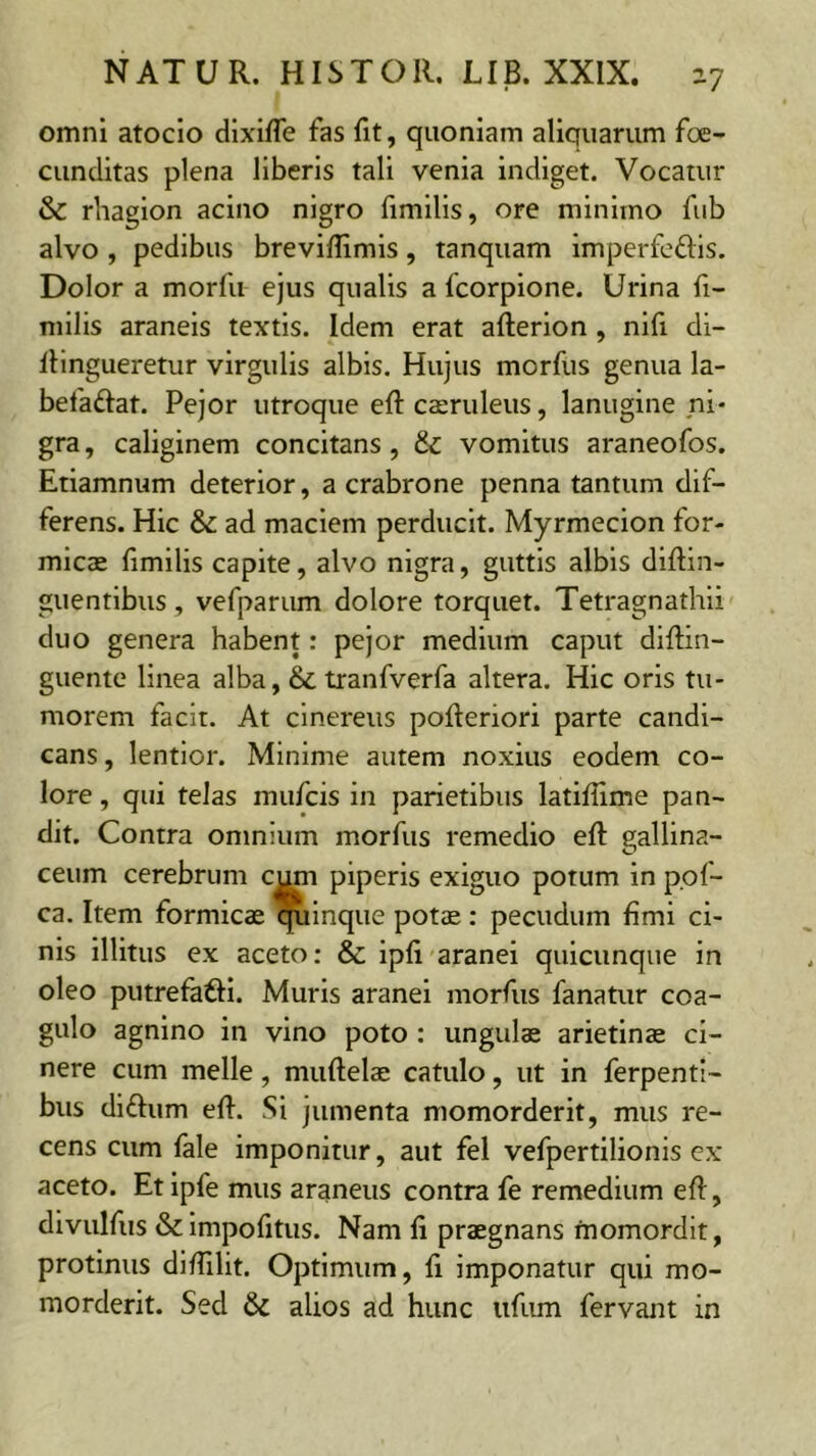 omni atocio dixifTe fas fit, quoniam aliquarum foe- cunclitas plena liberis tali venia indiget. Vocatur & rhagion acino nigro fimilis, ore minimo fub alvo , pedibus breviffimis, tanquam imperfeftis. Dolor a morfu ejus qualis a fcorpione. Urina fi- milis araneis textis. Idem erat afterlon, nifi di- flingueretur virgulis albis. Hujus morfus genua la- befaftat. Pejor utroque efl: caeruleus, lanugine ni- gra , caliginem concitans, & vomitus araneofos. Etiamnum deterior, a crabrone penna tantum dif- ferens. Hic & ad maciem perducit. Myrmecion for- micae fimilis capite, alvo nigra, guttis albis dlftin- guentibus, vefparum dolore torquet. Tetragnathli duo genera habent: pejor medium caput diftin- guente linea alba, & tranfverfa altera. Hic oris tu- morem facit. At cinereus pofteriori parte candi- cans , lentior. Minime autem noxius eodem co- lore , qui telas mufcis in parietibus latiflime pan- dit. Contra omnium morfus remedio efl gallina- ceum cerebrum c^n piperis exiguo potum in p.of- ca. Item formicae quinque potae : pecudum fimi ci- nis illitus ex aceto: & ipfi aranei quicunque in oleo putrefadi. Muris aranei morfus fanatur coa- gulo agnino in vino poto : ungulae arietinae ci- nere cum meile, muftelae catulo, ut in ferpentl- bus diftum efi. Si jumenta momorderit, mus re- cens cum fale imponitur, aut fel vefpertilionis ex aceto. Et ipfe mus araneus contra fe remedium efi:, dlvulfus &impofitus. Nam fi praegnans momordit, protinus diffilit. Optimum, fi imponatur qui mo- morderit. Sed & alios ad hunc ufirni fervant in