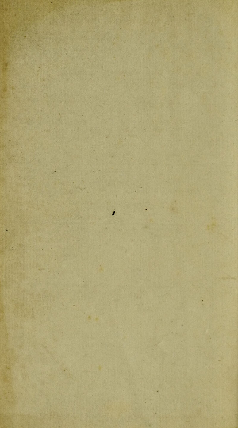 >4 V- ' w '>4* > *4 f IL I .!< 'i . i •« « ’.v *