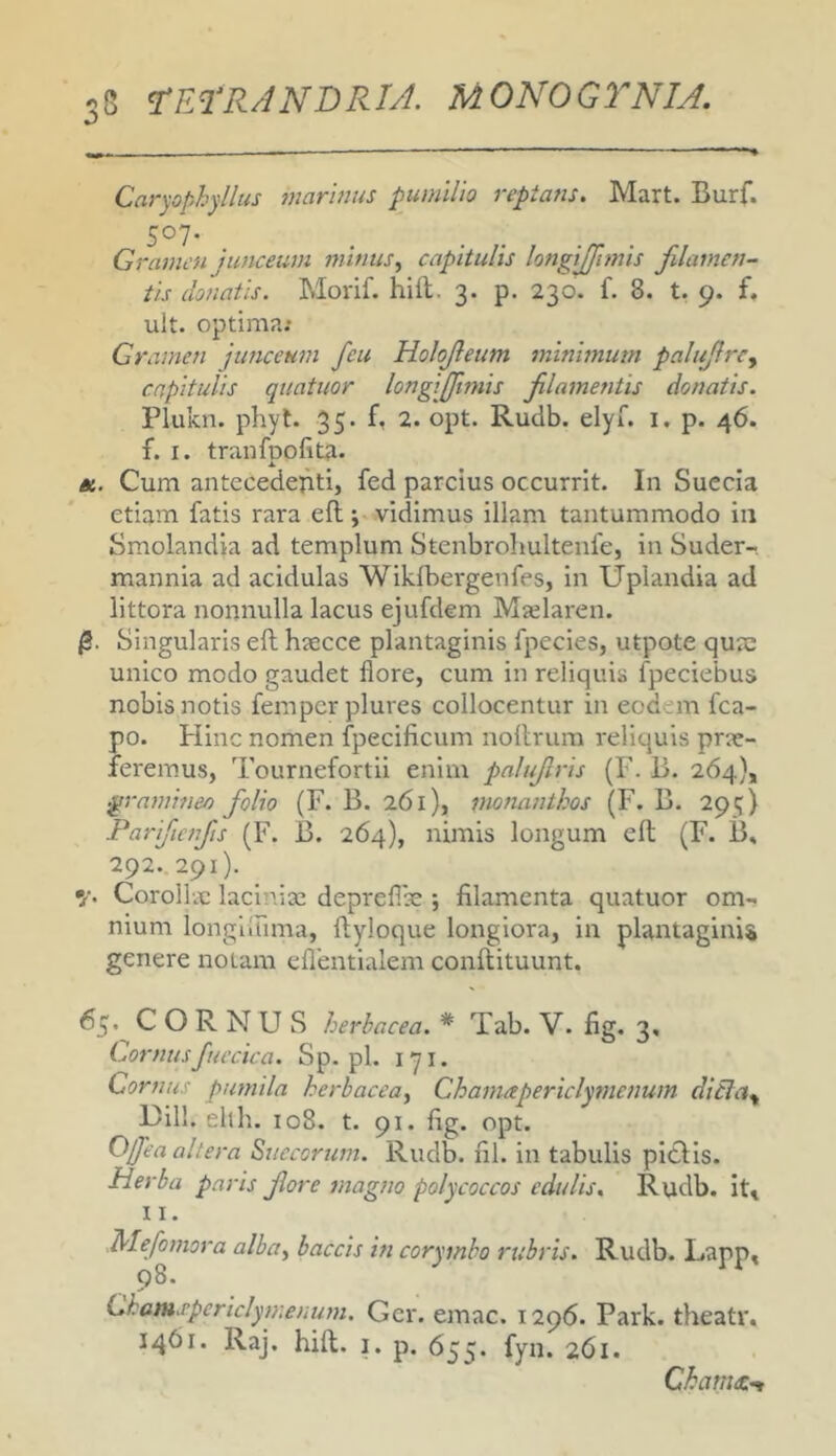 w Caryophyllus marinus pumilio reptans. Mart. Burf. 507. Gramen junceum minus, capitulis longijfimis filamen- tis donatis. Morif. hili. 3. p. 230. f. 8. t. 9. f, ult. optima; Gramen junceum feu Holofeum minimum palufrcy capitulis quatuor longijfmis f lamentis donatis. Plukn. phyt. 35. f, 2. opt. Rudb. elyi. i. p. 46. f. I. tranfDofita. ▲ Cum antecedenti, fed parcius occurrit. In Suecla etiam fatis rara efl; vidimus illam tantummodo in Smolandia ad templum Stenbrohultenfe, in Suder-, mannia ad acidulas Wikfbergenfes, in Uplandia ad littora nonnulla lacus ejufdem Mjelaren. Singularis ell hsecce plantaginis fpecies, utpote qujc unico modo gaudet flore, cum in reliquia fpeciebus nobis notis fempcr plures collocentur in eodem fca- po. Hinc nomen fpecificum nollrum reliquis prae- leremus, Tournefortii enim palufris (F. B. 264}, .gramineo folio (F. B. 261), monanthos (F. B. 295) Farifenfts (F. B. 264), nimis longum ell (F. B, 292. 291). •j. Corollae laciniae deprefiae *, filamenta quatuor om- nium longiiuma, Ilyloque longiora, in plantaginis genere notam eflentialem conllituunt. 65, CORNUS herbacea. * Tab. V. fig. 3, Cornusfuecica. Sp.pl. 171. Cornus pumila herbacea, Chanuepericlymenum diila^ l)ill. elth. 108. t. 91. fig. opt. O/fa altera Succorum. Rudb. fil. in tabulis piclis. Herba paris fore magno polycoccos edulis. Rudb. it» II. .Mefomora alba, baccis in corymbo rubris. Rudb. Lapp, 98. Chamspericlymenum. Ger. emac. 1296. Park. theatv. 1461. Raj. hili. I. p. 655. fyn. 261. Chamat-