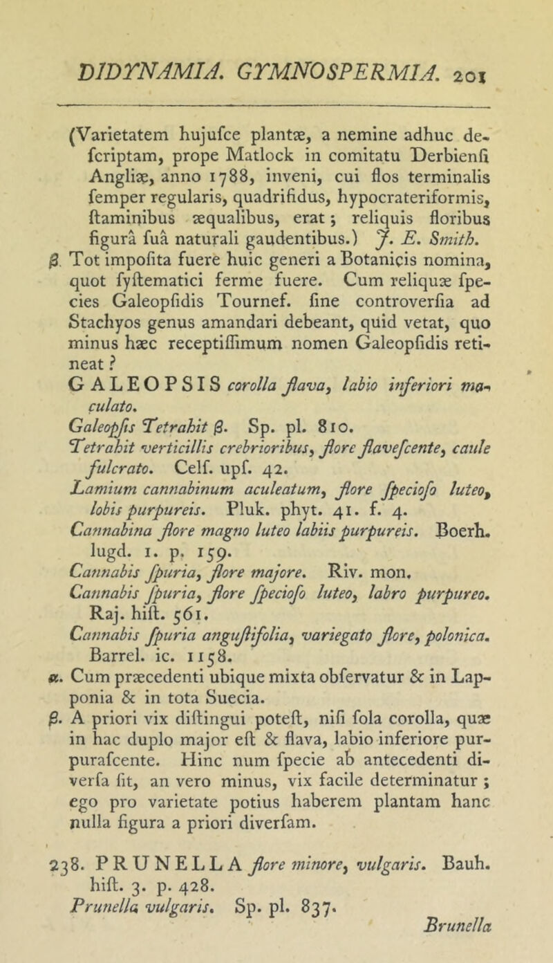 (Varietatem hujufce plantae, a nemine adhuc de« fcriptam, prope Matlock in comitatu Derbienfi Angliae, anno 1788, inveni, cui flos terminalis femper regularis, quadrifidus, hypocrateriformis, flaminibus aequalibus, erat j reliquis floribus figura fua naturali gaudentibus.) J. E. Smith. Tot impolita fuere huic generi a Botanicis nomina, quot fyftematici ferme fuere. Cum reliquae fpe- cies Galeopfidis Tournef. fine controverfia ad Stachyos genus amandari debeant, quid vetat, quo minus haec receptiflimum nomen Galeopfidis reti- neat GALEOPSIS corolla Jlava^ labio inferiori ma-i culato. Galeopfts Yetrahit Sp. pl. 8lO, Yetrahit •uerticillis crebrioribus ^ fore flavefcente^ caule fulcrato. Celf. upf. 42. Lamium cannabinum aculeatum^ fore fpeciofo luteo^ lobis purpureis. Pluk. phyt. 41. f. 4. Cannabina fore magno luteo labiis purpureis. Boerh. lugd. I. p, 159. Cannabis fpuria^ fore majore. Riv. mon. Cannabis fpuria^ fore fpeciofo luteoj labro purpureo. Raj. hili. 561. Cannabis fpuria anguf ifolia^ variegato fore, polonica. Barrel. ic. 1158. A. Cum praecedenti ubique mixta obfervatur & in Lap- ponia & in tota Suecia. A priori vix difbingui potell, nili fola corolla, quae in hac duplo major ell & flava, labio inferiore pur- purafcente. Hinc num fpecie ab antecedenti di- verfa fit, an vero minus, vix facile determinatur ; ego pro varietate potius haberem plantam hanc nulla figura a priori diverfam. I 238. PRUNELLA fore minor e vulgaris. Bauh. hili. 3. p. 428. Prunella vulgaris. Sp. pl. 837. Brunella