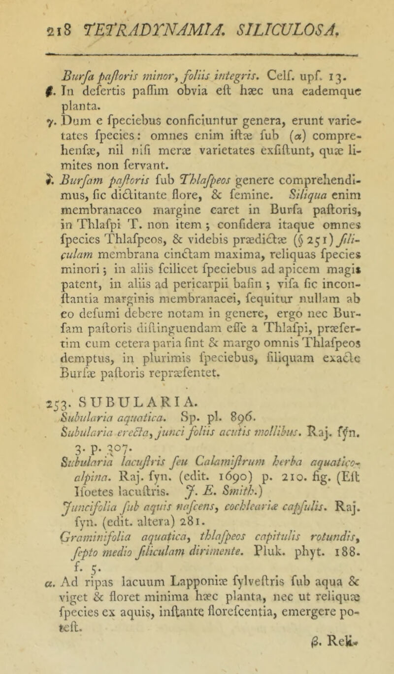 Burfa pnjloris minor, foliis integris. Celf. upA 13. #. In defertis paflim obvia eft haec una eademquc planta. 7. Dum e fpeciebus conficiuntur genera, erunt varie- tates fpecies: omnes enim iftje fub (a) compre- henfae, nil nifi merae varietates exfiftunt, quae li- mites non fervant. Burfam paforis fub Thlafpeos genere comprehendi- mus, fic di£litante flore, & femine. SJliqua enim membranaceo margine caret in Burfa palloris, in Thlafpi T. non item ; confidera itaque omnes fpecies Thlafpeos, & videbis praediclae (§251) fili- culam membrana cinctam maxima, reliquas fpecies minori; in aliis fcilicet fpeciebus ad apicem magis patent, in aliis ad pericarpii bafin ; vifa fic incon- llantia marginis membranacei, fequitur nullam ab eo defumi debere notam in genere, ergo nec Bur- fam palloris difiinguendam efle a Thlafpi, praefer- tim cum cetera paria fint & margo omnis Thlafpeos demptus, in plurimis fpeciebus, filiquam exacte Burfae palloris repr^fentet. 253. vSUBULARIA. Suln/laria aquatica, Sp. pl. 896. Subularia ereEla, junci foliis acutis mollibus. Raj. f^n. Subularia lacufris feu Calamifrum herba aquatico- alpina. Raj. fyn. (edit. 1690) p. 210. fig. (Eli Ifoetes lacullris. J. E. Smith.) JimcifoUa fub aquis fwfcens, cochlearia capfuUs. Raj. fyn. (edit, altera) 281. Graminifolia aquatica, thlafpeos capitulis rotundis, fepto medio filiculam dirimente. Pluk. phyt. 188. f' 5- a. Ad ripas lacuum Lapponise fylvellrls fub aqua & viget & floret minima haec planta, nec ut reliquae fpecies ex aquis, inllante florefeentia, emergere po- te 11. »3. ReU*