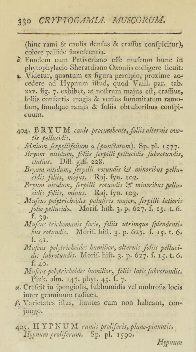 (hinc rami & caulis denfus & craflus confpicitur)j colore pallide flavefcentia. Eundem cum Petiveriano effe mufcum hunc in phytophylacio Sherardiano Oxoniis colligere licuit. «. Videtur, quantum ex figura percipio, proxime ac- cedere ad Hypnum ifiiud, quod Vaill. par. tab^ XXV. fig. 7. exhibet, at noftrum majus eft, craffius, foliis confertis magis & verfus fummitatcm ramo- fum, fimulque ramis & foliis obtuxioribus confpi- cuum. 404. BRYUM caule procumbente^ foliis alternis ova» tis pellucidis. Mniuni ferpyllifolium a (punflatum). Sp. pl. 1577. Bryum nitidum^ foliis ferpilli pellucidis fubrotundisy elatius. Dill. gifiT. 228. Bryum nitidum^ ferpilli rotundis ^ minoribus pellu» eidis foliis.f majus, Raj. fyn. 102. Bryum nitidum^ ferpilli rotundis ^ minoribus pellu» eidis foliis^ minus. Raj. fyn. 103. Alufcus polytrichoides palujlris majory ferpilli latioris folio pellucido. Morif. hili. 3. p. 627. f. 15. t. 6. 39- JMufcus triehomanis facie, foliis utrimque fplendenti» bus rotundis. Morif. hili. 3. p. 627. f. 15. t. 6* f. 41. Alufcus polytrichoides humilior, alternis foliis pelluci» dis fubrotundis. Moril. hili. 3. p. 627. f. 15. t. 6* f. 40. Alufcus polytrichoides humilior, foliis latis fubrotundis* Piuk. alm. 247. phyt. 45. f. 7. a. Crefeit in fpongiofis, fubhumidis vcl umbrofis locis inter graminum radices. Varietates illas, limites cum non habeant, con- jungo. 405. EI Y P N U M ramis prolfcrisy planc-pinnatis* Hypnum proUferum, Sp. pl. 1590.