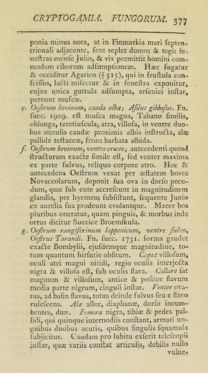 ponia minus nota, at In Finmarkia mari fepten-* trionali adjacente, fere replet domos & tegit fe-- neftras menfe Julio, & vix permittit homini com- modam ciborum adfumptionem. Hsec fugatur & occiditur Agarico (§515), qui In frullula con- fcillus, la£li mifcetur & in feneflra exponitur, cujus unica guttula adfumpta, arfenici inftar, pereunt mufcie. Oejtrtim bovinunty cauda alba; AJtlus gibhofus. Fn. fuec. 1909. eft mufca magna. Tabano fimilis, oblonga, teretiufcula, atra, villofa, in ventre duo- bus annulis caudae proximis albis inftruila, alse pallide teftacese, frons barbata albida. f. Oejlrum bovinumy ventre croceo; antecedenti quoad ftru£l;uram exa6le fimile eft, fed venter maxima ex parte fulvus, reliquo corpore atro. Hoc & antecedens Oeftrum vexat per seftatem boves Novaccolarum, deponit fua ova in dorfo pecu- dum, quse fub cute accrefeunt in magnitudinem glandis, per hyemem fubfiftunt, fequente Junio ex aurelia fua prodeunt evolantque. Macer bos pluribus oneratur, quam pinguis, & morbus inde ortus dicitur Suecice Broemfkula. g. Oejlrum rangiferinum lapp07jicum^ ventre fulvo., Oef rus Taraudi. Fn. fuec. 1731. forma gaudet exadle Bombylii, ejufdemque magnitudine, to- tum quantum hirfutie obfitum. Caput villofum, oculi atri magni nitidi, regio oculis interjedda nigra & villofa eft, fub oculis flava. Collare fat magnum Sc villofum, antice & poftice flavum media parte nigrum, cinguli inftar. Fenter ova- tus, ad bafin flavus, totus deinde fulvus feu e flavo rufefeens. Al<z albse, diaphansc, dorfo incum- bentes, duse. Femora nigra, tibise & pedes pal- lidi, qui quinque internodiis conftant, armati un- guibus duobus acutis, quibus Angulis fquamula fubjicitur. Caudam pro lubitu exferit telefcopii jiiftar, quse variis coiiftat articulis, debilis nullo vulne»