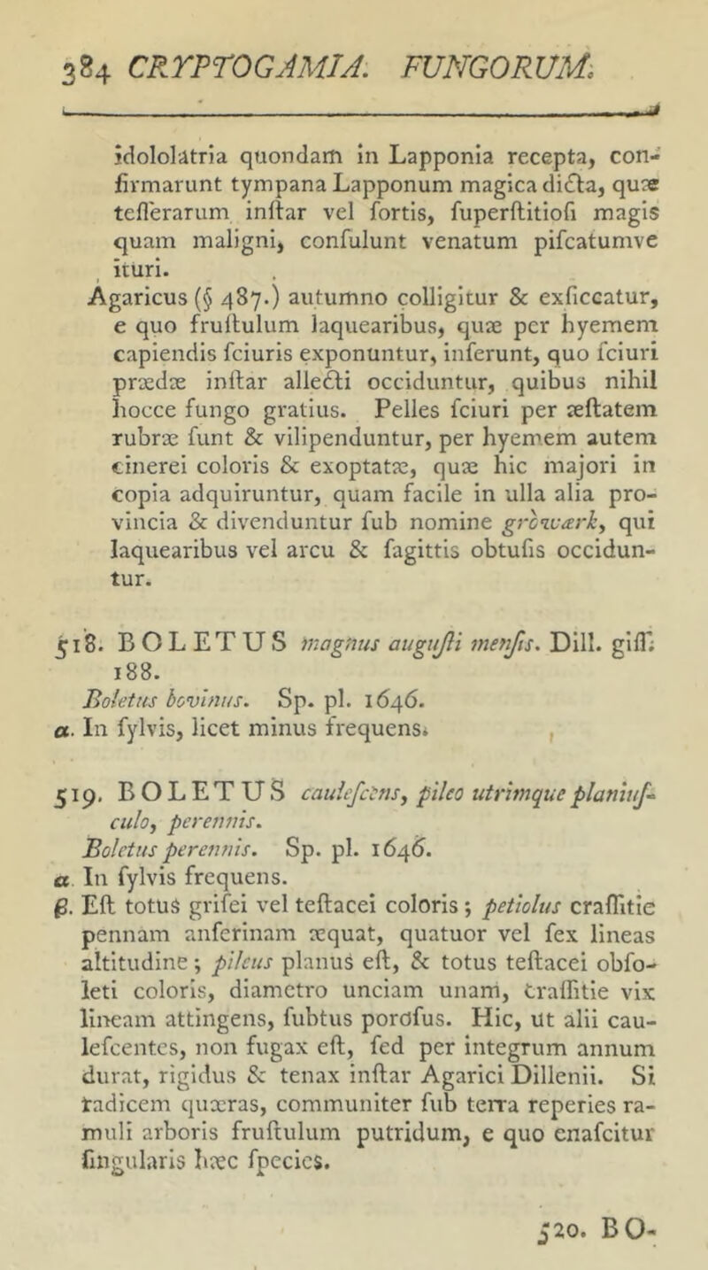 - idololatria quondam in Lapponia recepta, con- firmarunt tympana Lapponum magica di61a, qu?e teflerarum inllar vel fortis, fuperftitiofi magis quam maligni, confulunt venatum pifcatumve ituri. Agaricus (§ 487.) autumno colligitur & exficeatur, e quo frullulum laquearibus, quae per hyemena capiendis fciuris exponuntur, inferunt, quo fciuri pradae inftar allefti occiduntur, quibus nihil hocce fungo gratius. Pelles fciuri per leftatem rubrae funt & vilipenduntur, per hyemem autem cinerei coloris & exoptatae, quae hic majori in copia adquiruntur, quam facile in ulla alia pro- vincia & divenduntur fub nomine grcivarky qui laquearibus vel arcu & fagittis obtufis occidun- tur. 518. BOLETUS )nagnus augujli menfts, Dill. gifl; 188. Boletus bovlnus. Sp. pl. 1646. a. In fylvis, licet minus frequens* , 519. BOLETUS cauiefctnsy pileo utrimqueplamuf^ culoy perennis. Boletus perennis. Sp. pl. 164^. a In fylvis frequens. Eft totus grifei vel teftacei coloris; petiolus craflitie pennam anferinam aequat, quatuor vel fex lineas altitudine; pileus planus eft, & totus teftacei obfo- leti coloris, diametro unciam unam, trafhtie vix lliream attingens, fubtus porofus. Hic, ut alii cau- kfcent.es, non fugax eft, fed per integrum annum durat, rigidus & tenax inftar Agaricl Dillenii. Si tadicem quxras, communiter fub terra reperies ra- muli arboris fruftulum putridum, e quo enafeitur fmgularis haec fpccics. 520. BO-