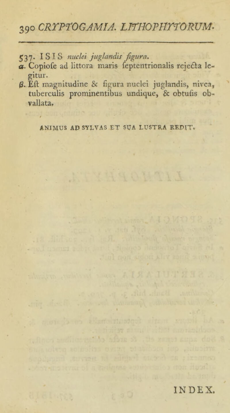 537- ISIS nuclei juglandis figura, a. Coplofe ad littora maris feptentrionalis rejedia le- gitur. fi. Eft magnitudine & figura nuclei juglandis, nivea, tuberculis prominentibus undique, & obtufis ob- vallata, t ANIMUS AP SYLVAS ET SUA LUSTRA REDIT. INDEX.