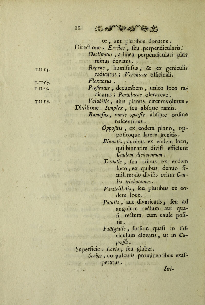 T.II f.J. T.II f. 8. 12 or, aut pluribus donatus • Diredlone . Eredus , leu perpendicularis; Declinatus , a linea perpendiculari plus minus devians. Repens , humifufus, 5c ex geniculis radicatus ; Veronicae officinali. Flexuosus . Pr&Jlratus , decumbens, unico loco ra- dicatus ; Portulacae oleraceae. Volubilis , aliis plantis circumvolutus « Divifione . Simplex y leu abfque ramis. Ramofus y ramis sparfis abfque ordine nafcentibus. Oppofitis y ex eodem plano, op- . pofitoque latere genitis, Binnatis , duobus ex eodem loco, qui binnarim divifi efficiunt Caulem diciiotomum . Ternatis, feu tribus ex eodem loco y ex quibus denuo fi- mili modo divifis oritur Cau^ lis trichotomus, Verticillatis i feu pluribus ex eo- dem loco. Patulis , aut divaricatis, feu ad angulum redum^ aut qua- li redum cum caule poli- tis . Fajii^iatis, furfum quali in faf- ciculum elevatis , ut in Cu^ prejfu i Superficie . Levis > feu glaber. Scaber, corpufculis prominentibus exaf- peratus. V Stri-