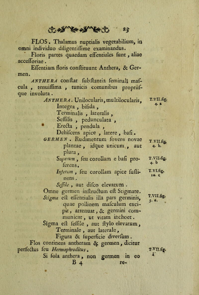 FLOS • Thalamus nuptialis vegetabilium, in omni individuo diligentiffime examinandus. Floris partes quaedam eflentiales funt, aliae accelToriae. Eflentiam floris conftituunt Anthera, & Ger- men. AN THERA conflac fub flantia feminali maf- cula , tenuiflima , tunicis comunibus propriif- que involuta . AntheRa . Unilocularis,multilocularis. Integra , bifida , Terminalis , lateralis, Seflilis , pedunculata I • Ereda , pendula , Dehifcens apice , latere, bafi • GERMEN , Kudimentum fovens novae plantae , idque unicum , aut plura, Supefum , feu corollam e bafi pro- ferens. Inferum , feu corollam apice fufli- nens. Sejfile , aut difco elevatum . Omne germen inflrudum efl Stigmate. Stigma efl: eifentialis illa pars germinis, quae poUinem mafculum exci- pit , attenuat, 6c germini com^ municat, ut vitam inchoet. Sigma efl feflile , aut ftylo elevatum . Terminale , aut laterale, Figura & fuperficie diverfum. Flos continens antheram ^ germen, dicitur perfedus feu Hermaphroditus^ Si fola anthera, non germen in eo B 4 re- T.VII.fig, 4. a T.VILfig, 4. b. T.VII.fig. 4. b T.vi.fig:. 19. C t.VII.fig. 5- . T.vn.gg,