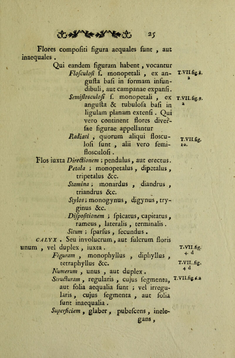 Flores compofiti figura aequales funt , auc inaequales. Qui eandem figuram habent, vocantur Flofculoji f. monopetali , ex an- gufia bafi in formam infun- dibuli, aut cainpanae expanfi. Semiflosculofi f, monopetali , ex angulla & tubulofa bafi in ligulam planam extenfi . Qui vero continent flores diver- fae figurae appellantur , Radiati , quorum aliqui floscu- lofi funt , alii vero femi- flosculofi . Flos iuxta Diredionem ; pendulus, aut erectus. Petala ; monopetalus , dipetalus , tripetalus Scc. Stamina; monardus , diandrus , triandrus &c. Stylos; monogynus, tfigynus, try- ginus 6cc. . Difpofitionem ; fpicatus, oapitatus, rameus, lateralis, terminalis. Situm ; fparfus, fecundus • CALYX . Seu involucrum, auc fulcrum floris unum , vel duplex, iuxta. Figuram , monophyllus , diphyllus , tetraphyllus &c. Numerum , unus , aut duplex, SuuSluram , regularis , cujus fegmenta, auc folia aequalia funt ; vel irregu- laris , cujus fegmenta , auc folia funt inaequalia . Superficiem , glaber , pubefcens, inele^ gans, X.VII.fig,». a T.vn.%.5r. a T.VIi.fig. 20. T.VIi.fig. 4. d T.VIL.fig. 4 d