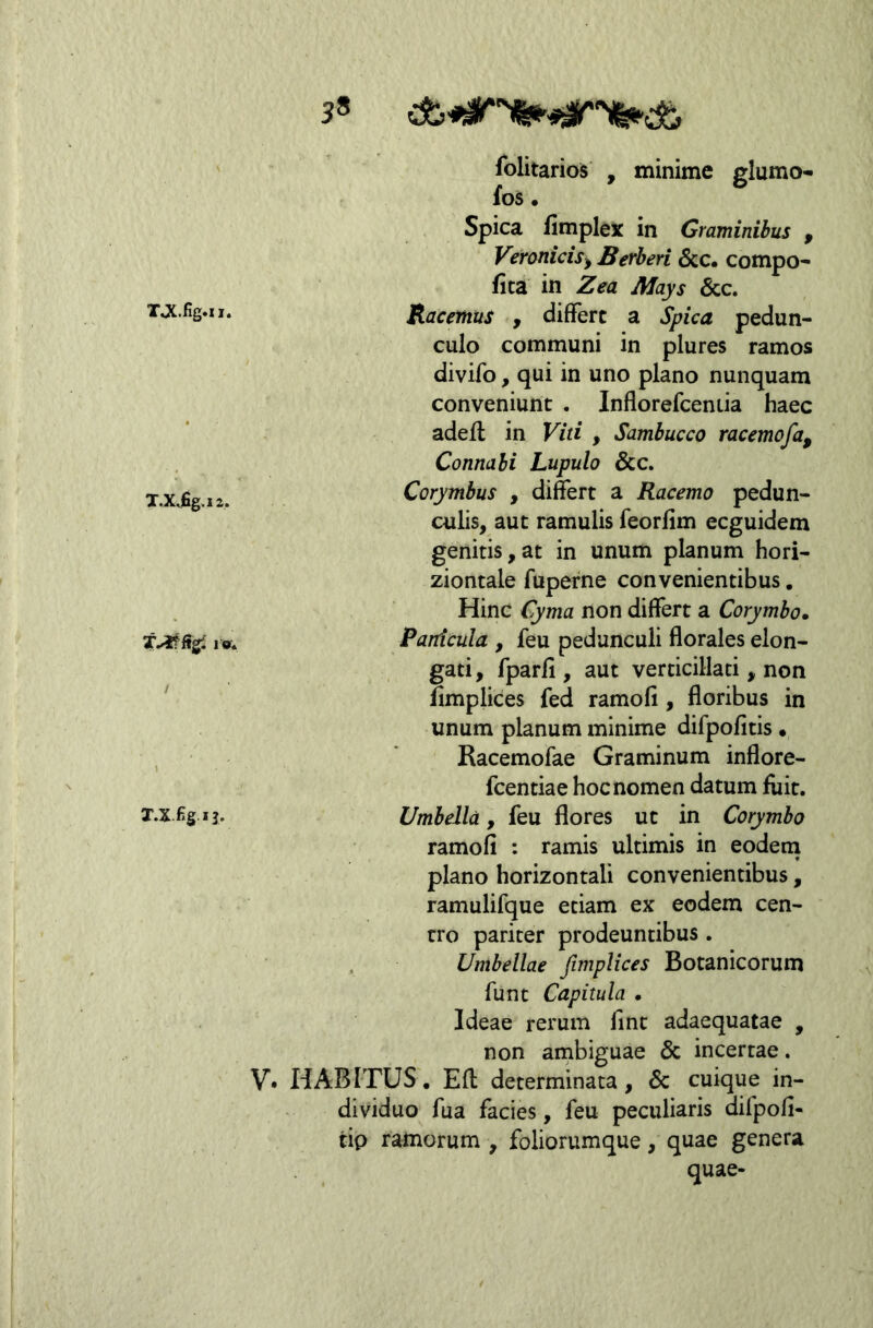 39 TJC.fig.xi. T.X%12. folitarios , minime glumo-^ fos • Spica limplex in Graminibus , VeroniciS) Berberi 6cc. compo* fita in Zea Mays &c. Racemus , differt a Spica pedun- culo communi in plures ramos divifo, qui in uno plano nunquam conveniunt . Inflorefceniia haec adell in Viti , Sambuceo racemofa, Connabi Lupulo &c. Corymbus , differt a Racemo pedun- culis, aut ramulis feorfim eeguidem genitis,at in unum planum hori- ziontale fuperne convenientibus. Hinc Cyma non differt a Corymbo» Panicula , feu pedunculi florales elon- gari, fparli , aut verticillati, non fimplices fed ramofi, floribus in unum planum minime difpofitis •, Racemofae Graminum inflore- fcentiae hoc nomen datum fiiit. Umbella, feu flores ut in Corymbo ramofi : ramis ultimis in eodein plano horizontali convenientibus, ramulifque etiam ex eodem cen- tro pariter prodeuntibus . Umbellae fimplices Botanicorum funt Capitula • Ideae rerum fine adaequatae , non ainbiguae & incertae. V* HABITUS, Efl determinata, 6c cuique in- dividuo fua facies, feu peculiaris difpofi- tip ramorum , foliorumque, quae genera quae-