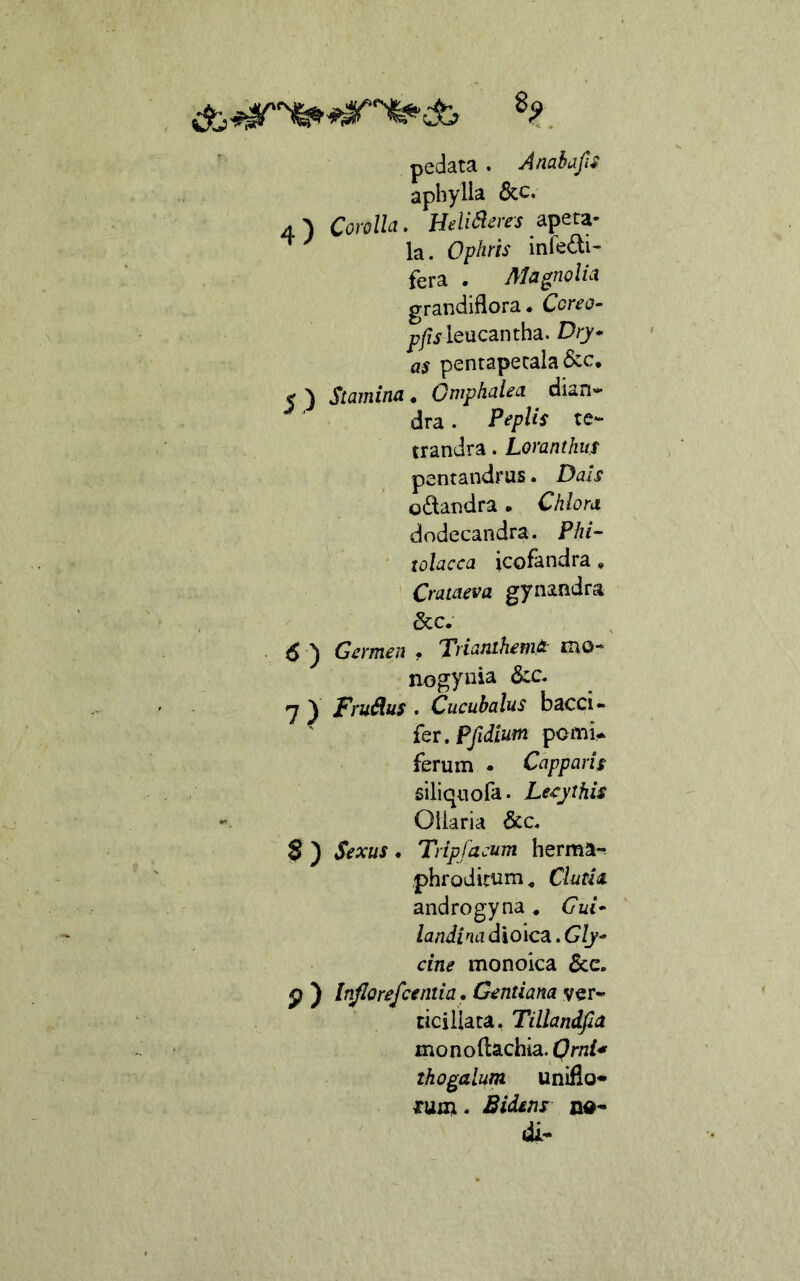 pedata. AnahafiS aphylla 6cc. 4^ Corolla, Heli^eres apeta- ^la. Ophrh infedi- fera . Ma^nolia grandiflora* Coreo- p/ii'leucantha. Dry^ as penrapecala &c, 5 ) Stamina. Gmphalea dkn- dra. PepUs te- trandra. Loranthut pentandrus. Dais odandra. Chlora dodecandra. Phi- ■ tolacca icofandra, ’ Crameva gynandra 5cc. . 6 ) Germen , Trianihemt mo- nogynia 7 ) Fru^us . Cucuhalus bacci» {Qt,Pfidium pomi- ferum • Capparis siliqiiofa. Lecythis - Ollaria 6cc, $ ) Sexus • Tripfacum herma- phroditum^ Clutla androgyna . Gui* landina dioica. G/y- cine monoica p ) Inflorefcentia, Gentiana ver- ciciliata, Tillandfia mo n o (lachia. Qrni* thogalum uniflo* lum. Bidens na- di-
