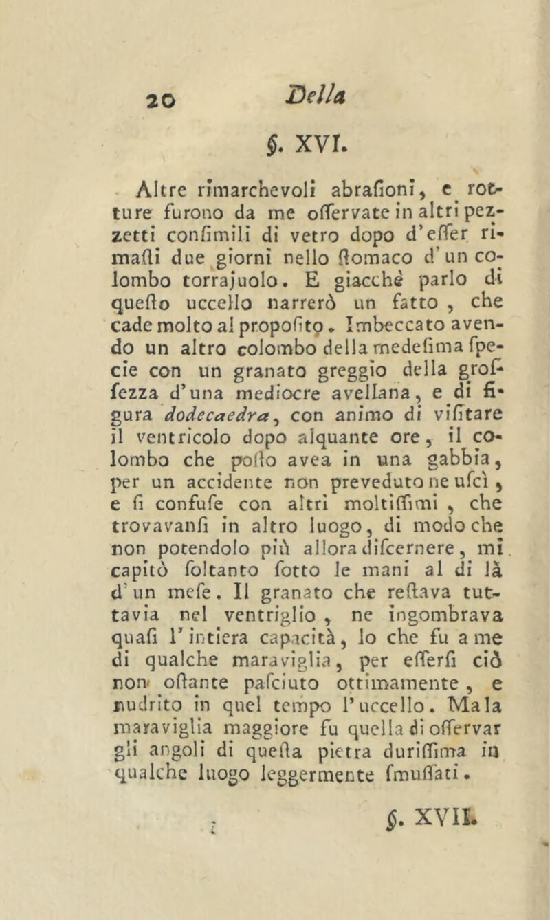 §, xvr. - Altre rimarchevoli abrafioni, c rot- ture furono da me ofTervate in altri pez- zetti confimilì di vetro dopo d’efTer ri- mafli due ^giorni nello {?ornaco d’un co- lombo torrajuolo. E giacche parlo di quello uccello narrerò un fatto , che cade molto al propolìtp. Imbeccato aven- do un altro colombo della medefima fpe- cie con un granato greggio della grof' fezza d’una mediocre avellana, e di gura dodecaedra^ con animo di vietare il ventricolo dopo alquante ore, il co- lombo che polio avea in una gabbia, per un accidente non preveduto ne ufcì , e fi confufe con altri moltiffimi , che trovavanfi in altro luogo, di modo che non potendolo più allora difcernere, mi capitò foltanto fotto le mani al di là d’un mefe. Il granato che rellava tut- tavia nel ventriglio , ne ingombrava quafi r intiera capacità, lo che fu a me di qualche maraviglia, per efferfi ciò non» ofiante pafciuto ottimamente, e nudrito in quel tempo l’uccello. Mala maraviglia maggiore fu quella di oflTervar gli angoli di quella pietra duriffima in qualche luogo leggermente fmuCfati. §, XVII.