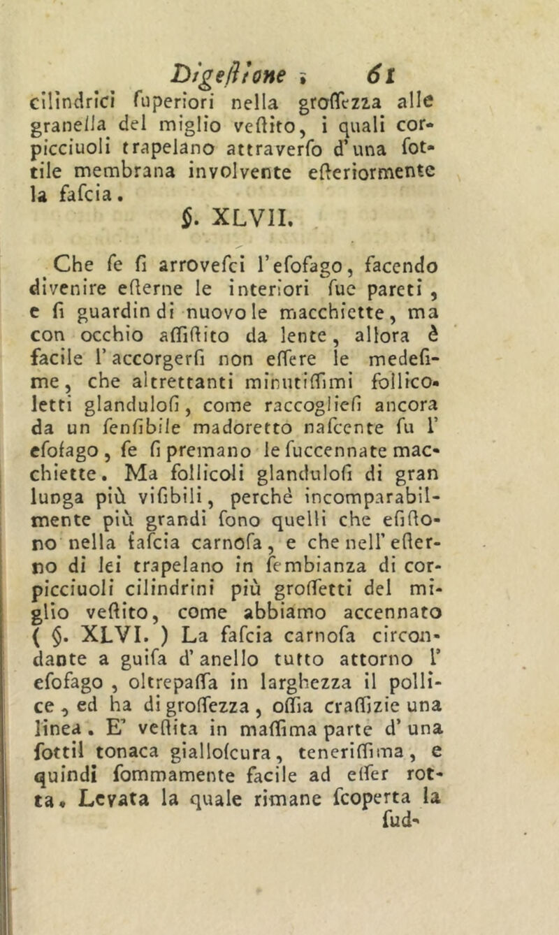 cilindrici fuperiori nella groflczza alle granella del miglio veftito, i quali cor- picciuoli trapelano attraverfo d’una fot- tile membrana involvente efteriormentc la fafcia. §. XLVII. Che fé fi arrovefci refofago, facendo divenire eflerne le interiori Tue pareti , c fi guardin di nuovo le macchiette, ma con occhio afllfiito da lente, allora è facile r accorgerfi non eflere le medefi- me, che altrettanti miniitilfimi foilico- letti glandulofi, come raccogiiefi ancora da un fenfibile madoretto nafccnte fu V cfofago , fe fi premano le fuccennate mac« chiette. Ma follicoli glandulofi di gran lunga più vifibili, perchè incomparabil- mente più grandi fono quelli che efifio- no nella iafcia carnofa, e che nell’efler- no di lei trapelano in fembianza di cor- picciuoli cilindrini più grolfetti del mi- glio veftito, come abbiamo accennato ( §. XLVI. ) La fafcia carnofa circon- dante a guifa d’anello tutto attorno T efofago , oltrepaffa in larghezza il polli- ce , ed ha di grolfezza , oìfia craffizie una linea . E’ vefiita in malfima parte d’ una fotti! tonaca giallolcura, teneriffima, e quindi fommamente facile ad elfer rot- ta. Levata la quale rimane feoperta la