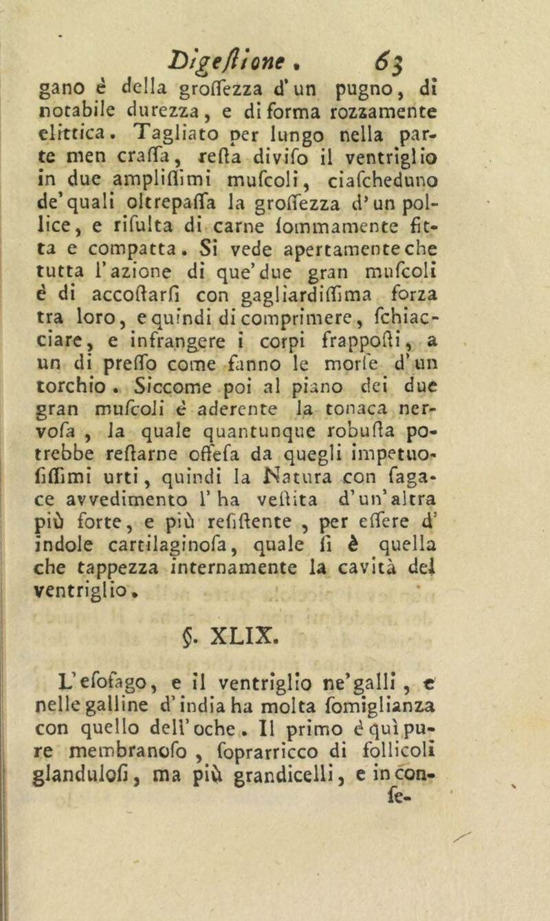 Digefltone ^ 6^ gano è della grolTezza d’un pugno, dì notabile durezza, e di forma rozzamente elfttica. Tagliato per lungo nella par- te men crafla, retta divifo il ventriglio in due ampliflìmi mufcoli, ciafcheduno de’quali oltrepatta la grottezza d’un pol- lice, e rifulta di carne lommamente fit- ta e compatta. Si vede apertamente che tutta l’azione dì que’due gran mufcoli é di accottarfi con gagliardittìma forza tra loro, e quindi di comprimere, fchiac- ciarc, e infrangere i corpi frappotti, a un di preffo come fanno le morfe d’un torchio . Siccome poi al piano dei due gran mufcoli è aderente la tonaca ner- vofa , la quale quantunque robutta po- trebbe Tettarne offefa da quegli impetuo- fittimi urti, quindi la Natura con faga* ce avvedimento l’ha vettita d’un’altra più forte, e più refiftente , per ettere d’ indole cartilaginofa, quale fi è quella che tappezza internamente la cavità dei ventriglio, §. XLIX. L’efofago, e il ventriglio ne’galli, € nelle galline d’india ha molta fomiglianza con quello dell’oche. Il primo èqui pu- re membranofo , foprarricco di follicoli glanduiofi, ma più grandicelli, e in con-