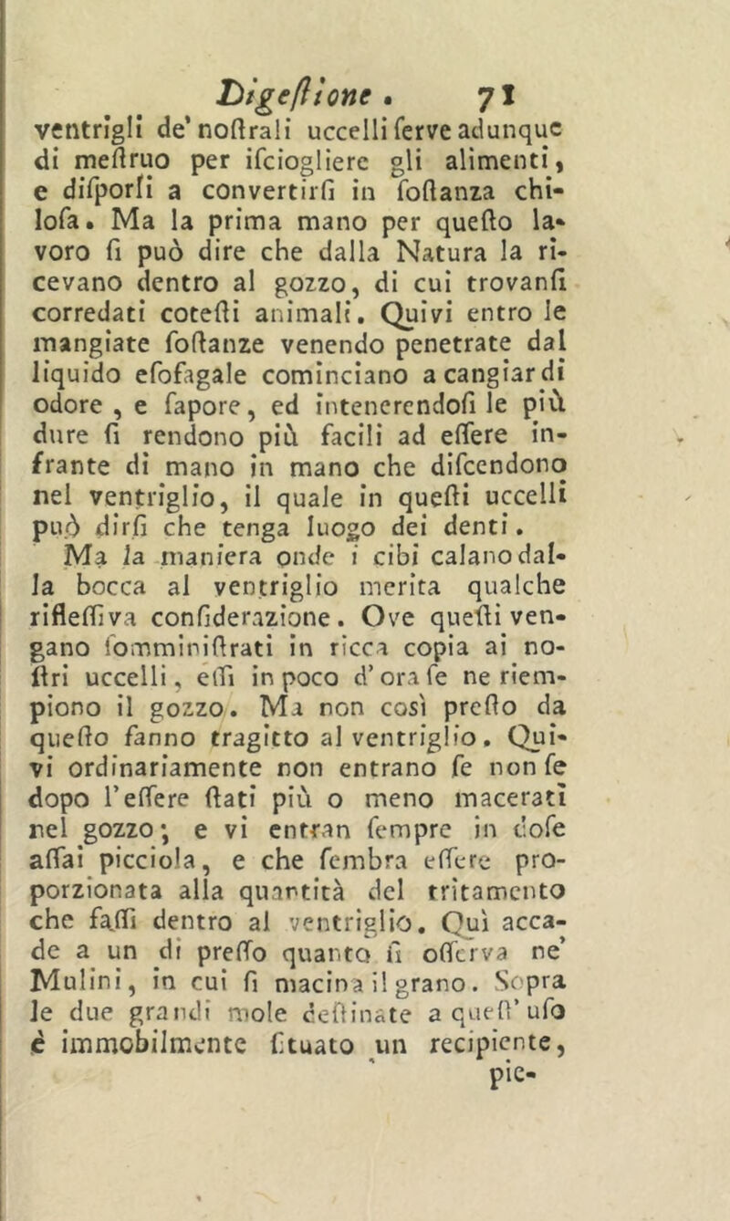 ventrigli de’noftralì uccelli ferve adunque di meìlruo per ifeiogliere gli alimenti, e difporli a convertirfi in foftanza chi- lofa. Ma la prima mano per quello la* voro fi può dire che dalla Natura la ri- cevano dentro al gozzo, di cui trovanfi corredati cotefii animali. Quivi entro le mangiate foflanze venendo penetrate dal liquido efofagale cominciano a cangiar di odore , e fapore, ed intenerendofi le più dure fi rendono più facili ad effere in- frante dì mano in mano che difccndono ! nel ventriglio, il quale in quelli uccelli può dirli che tenga luogo dei denti. Ma la maniera onde i cibi calano dal- la bocca al ventriglio merita qualche riflelfiva confiderazìone . Ove quelli ven- gano lomminifirati in ricca copia ai no- llrì uccelli, elfi in poco d’orafe ne riem- piono il gozzo. Ma non così prello da quello fanno tragitto al ventriglio. Qui- vi ordinariamente non entrano fe nonfe dopo l’elTere (lati più o meno macerati nel gozzo; e vi cntran Tempre in dofe affai picciola, e che fembra effere pro- porzionata alla quantità del rritamento che fa.fri dentro ai ventriglio. Qui acca- de a un di preffo quanto fi offerva ne’ Mulini, in cui fi macina il grano. Sopra i Je due grandi mole ceflinate a quell’ufo (è immobilmente fituato ^un recipiente, pie-